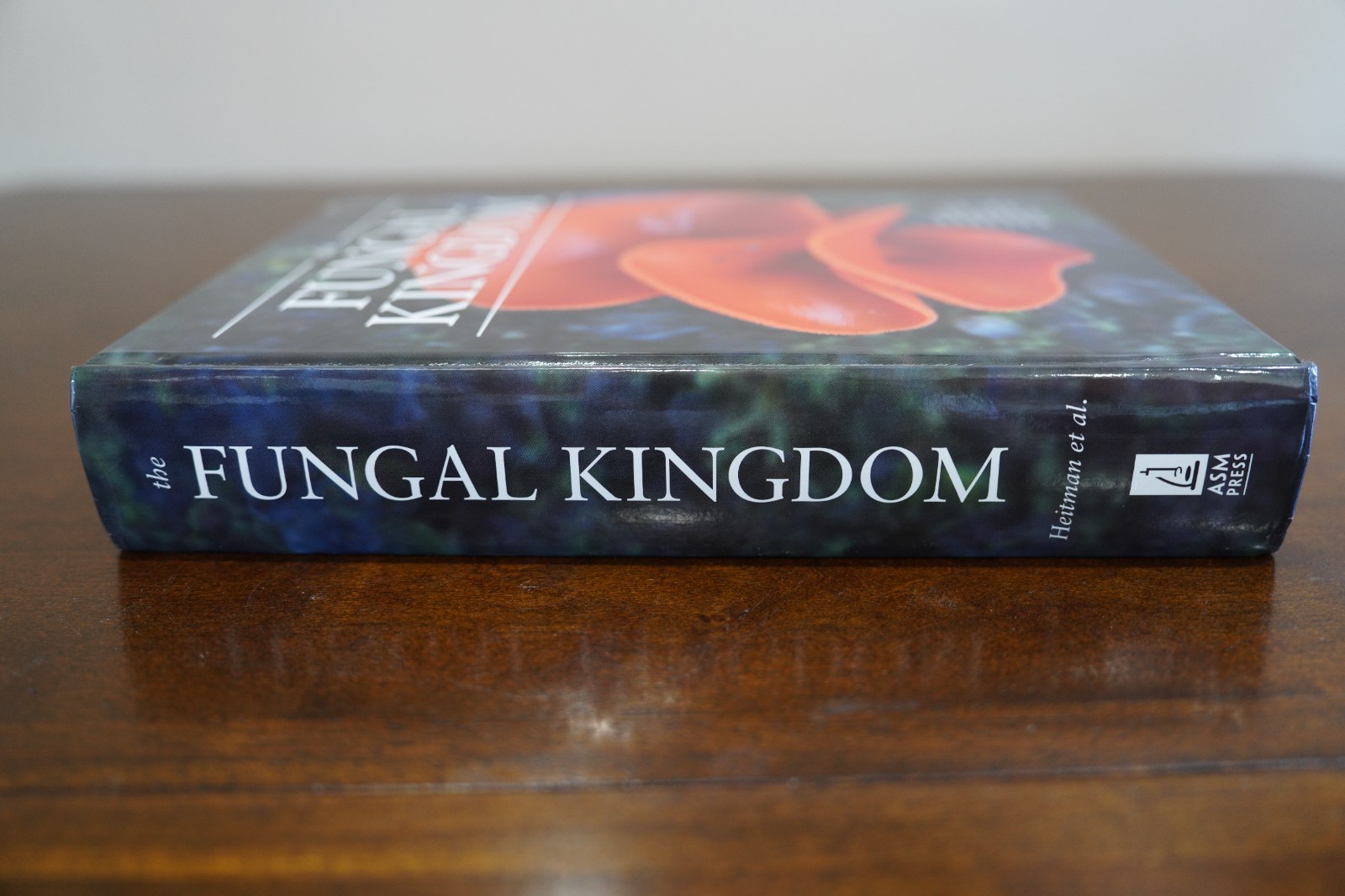 The Fungal Kingdom Hardcover *Science Book*