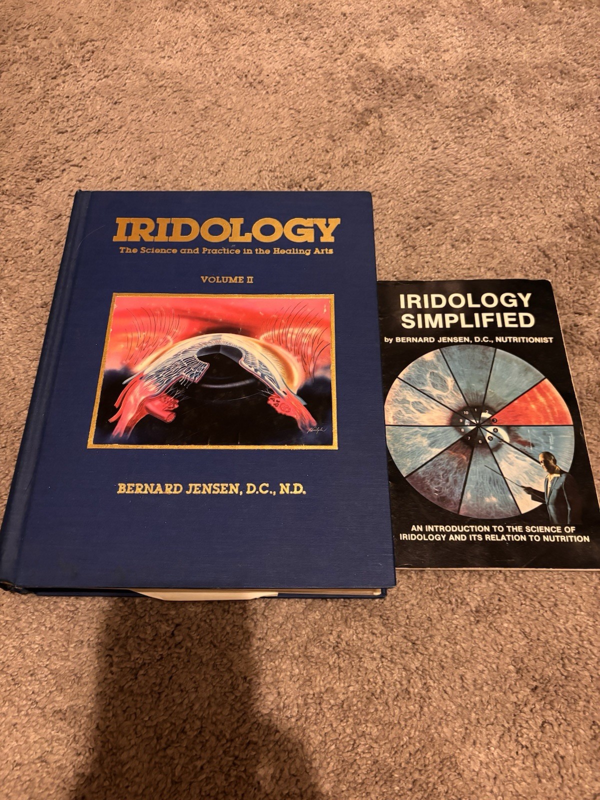 Iridology: The Science and Practice in the Healing Arts, Vol. 2 (1st Edition)
