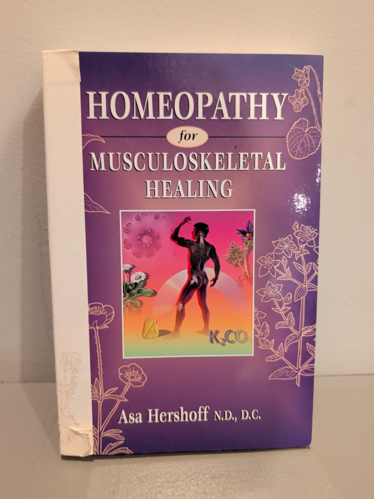 Asa Hershoff Homeopathy for Musculoskeletal Healing (Paperback)