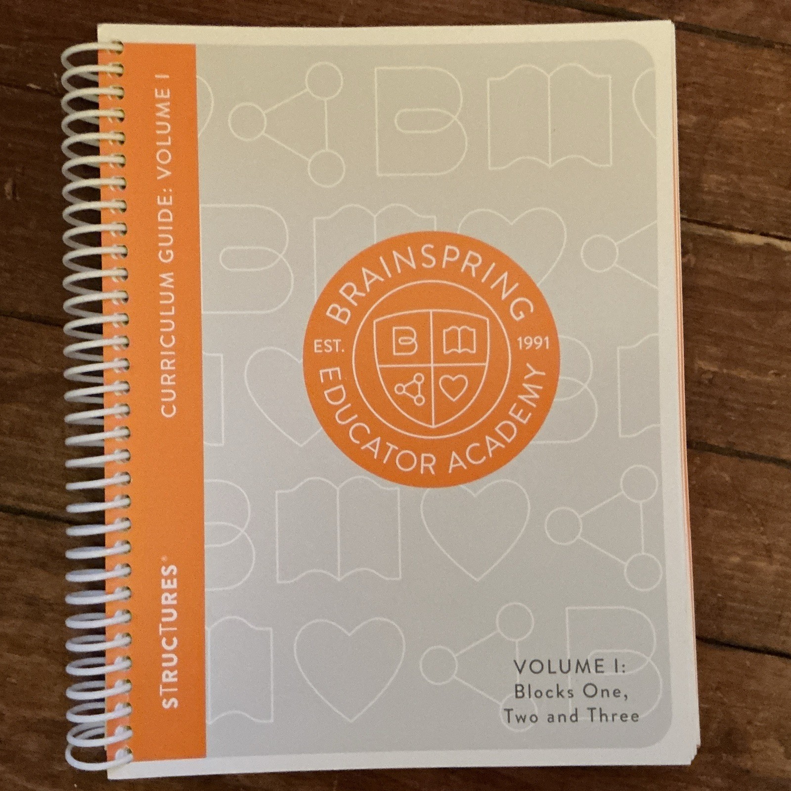 Brainspring Educator Academy Structures Curriculum Guide Vol I & II 1991 Spiral
