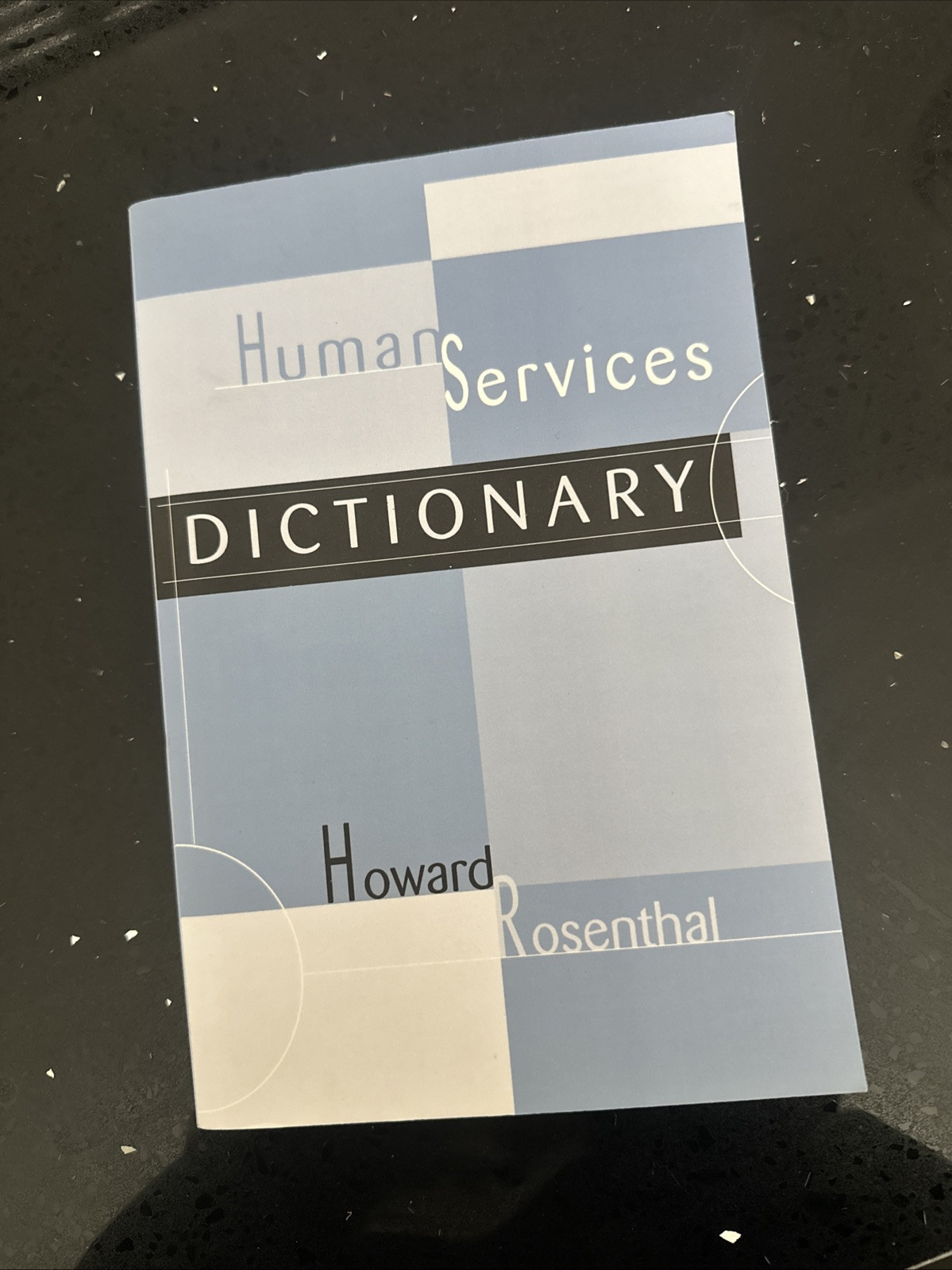 Human Services Dictionary by Howard Rosenthal (2003, Uk-B Format Paperback)