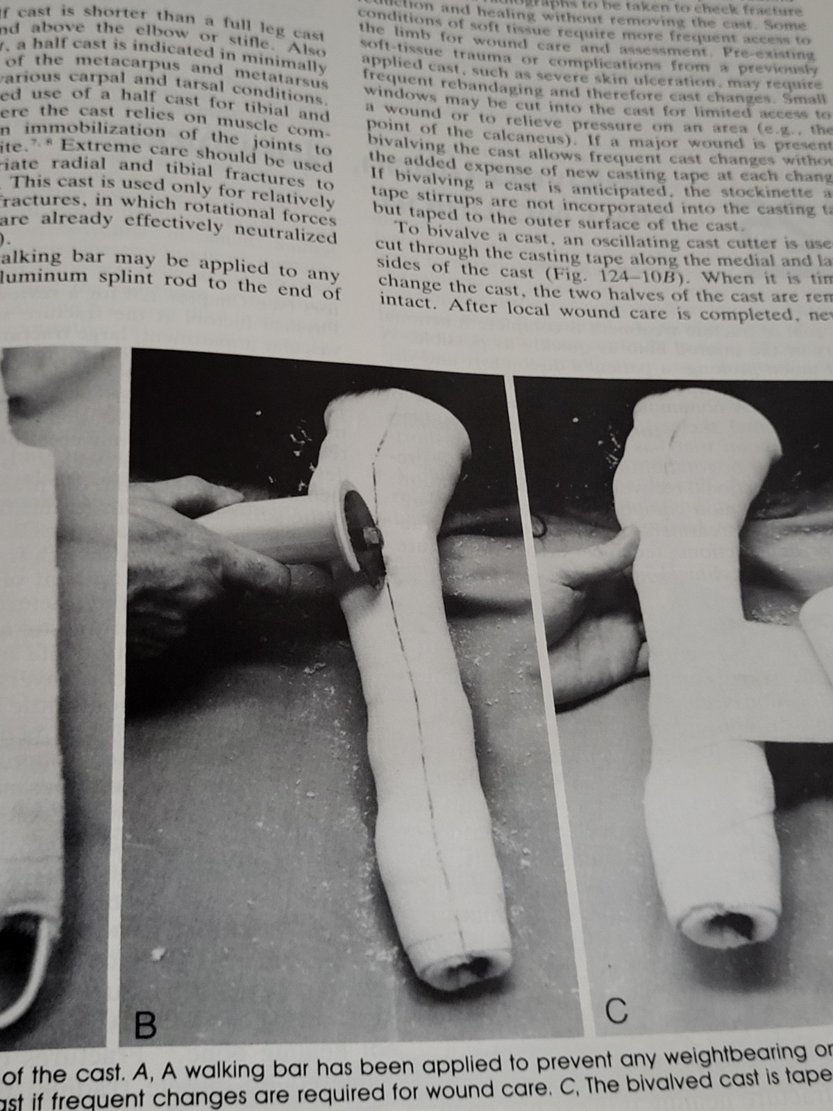 Textbook of Small Animal Surgery Volumes 1 & 2 Douglas Slatter Second Edition
