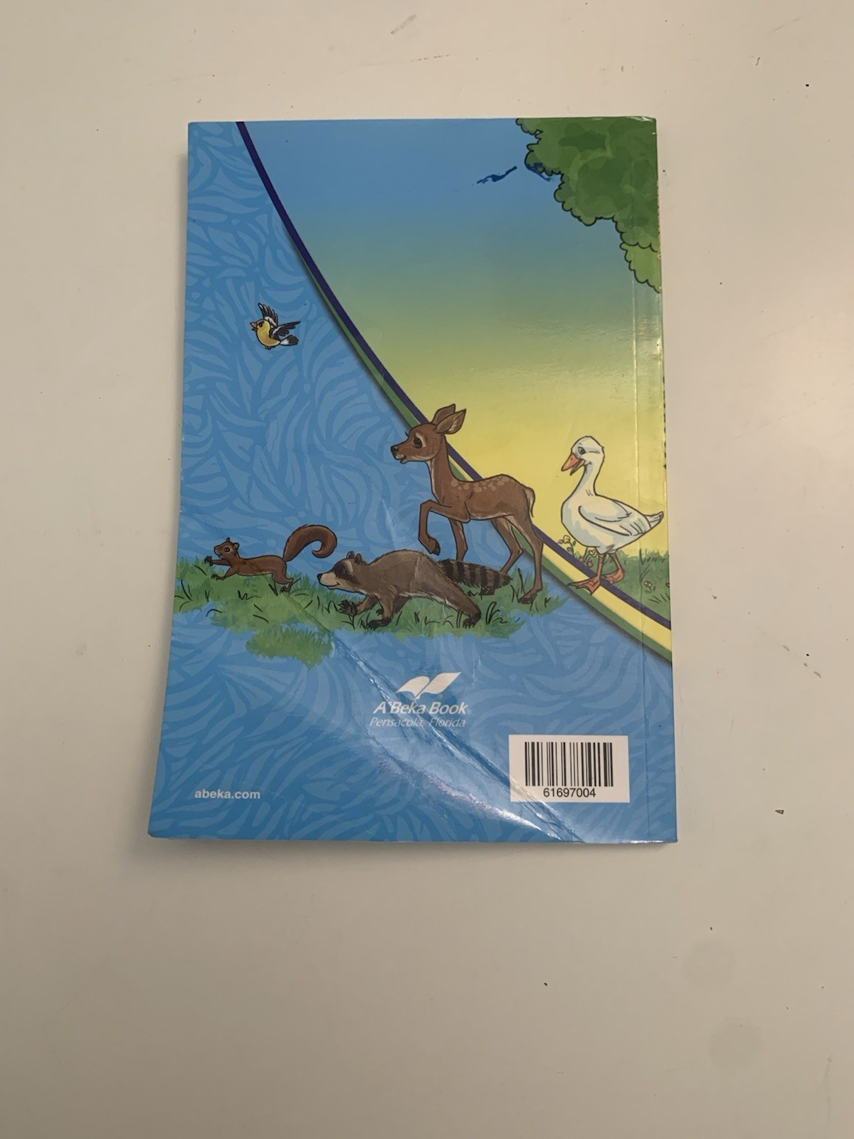 Animals in the Great Outdoors by Delores Shimmin (2015, Trade Paperback)