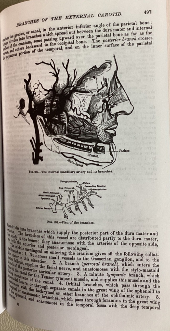 THE UNABRIDGED GRAY’S ANATOMY 1999 Courage Books Running Press VGC