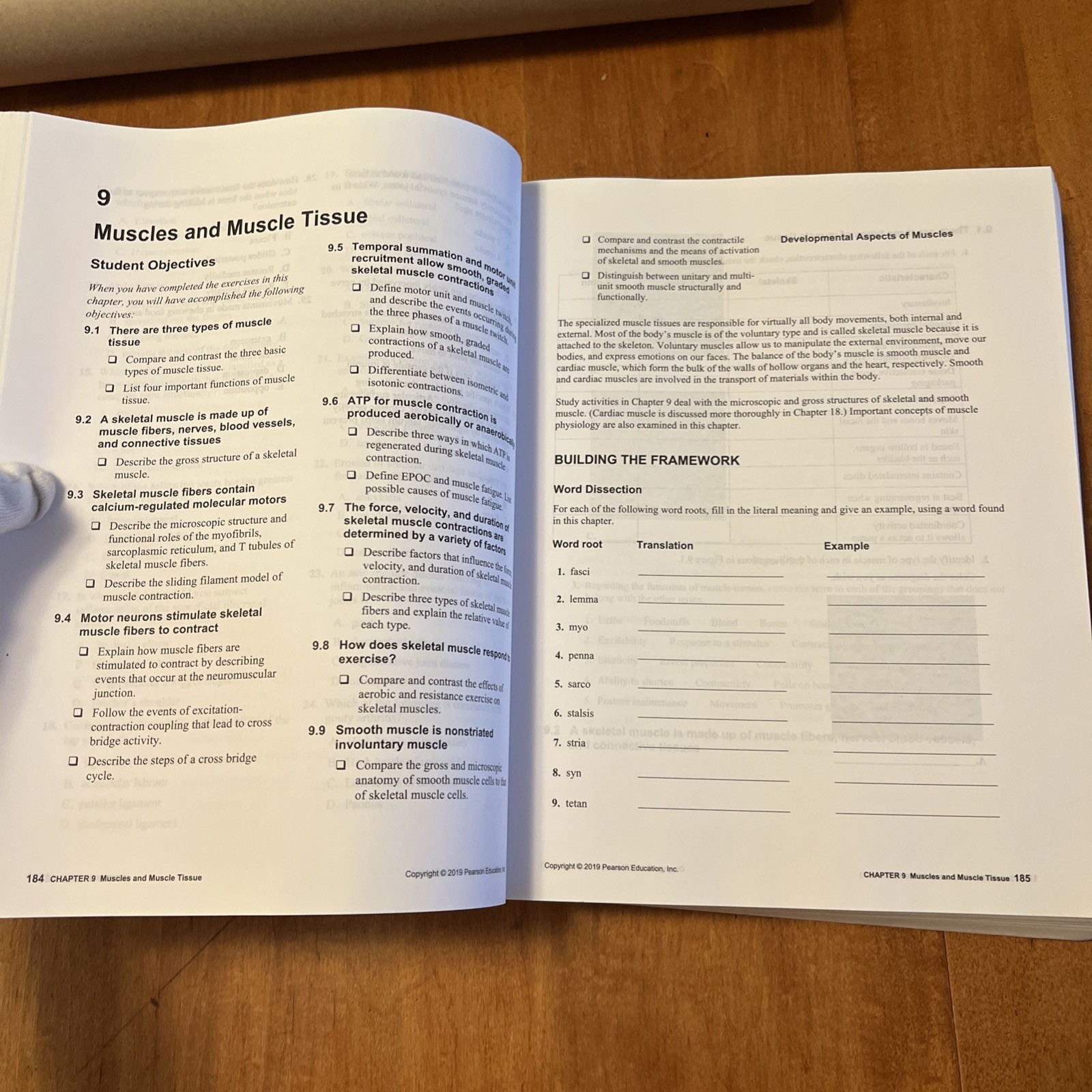 Study Guide for Human Anatomy and Physiology by Elaine Marieb and Katja Hoehn…