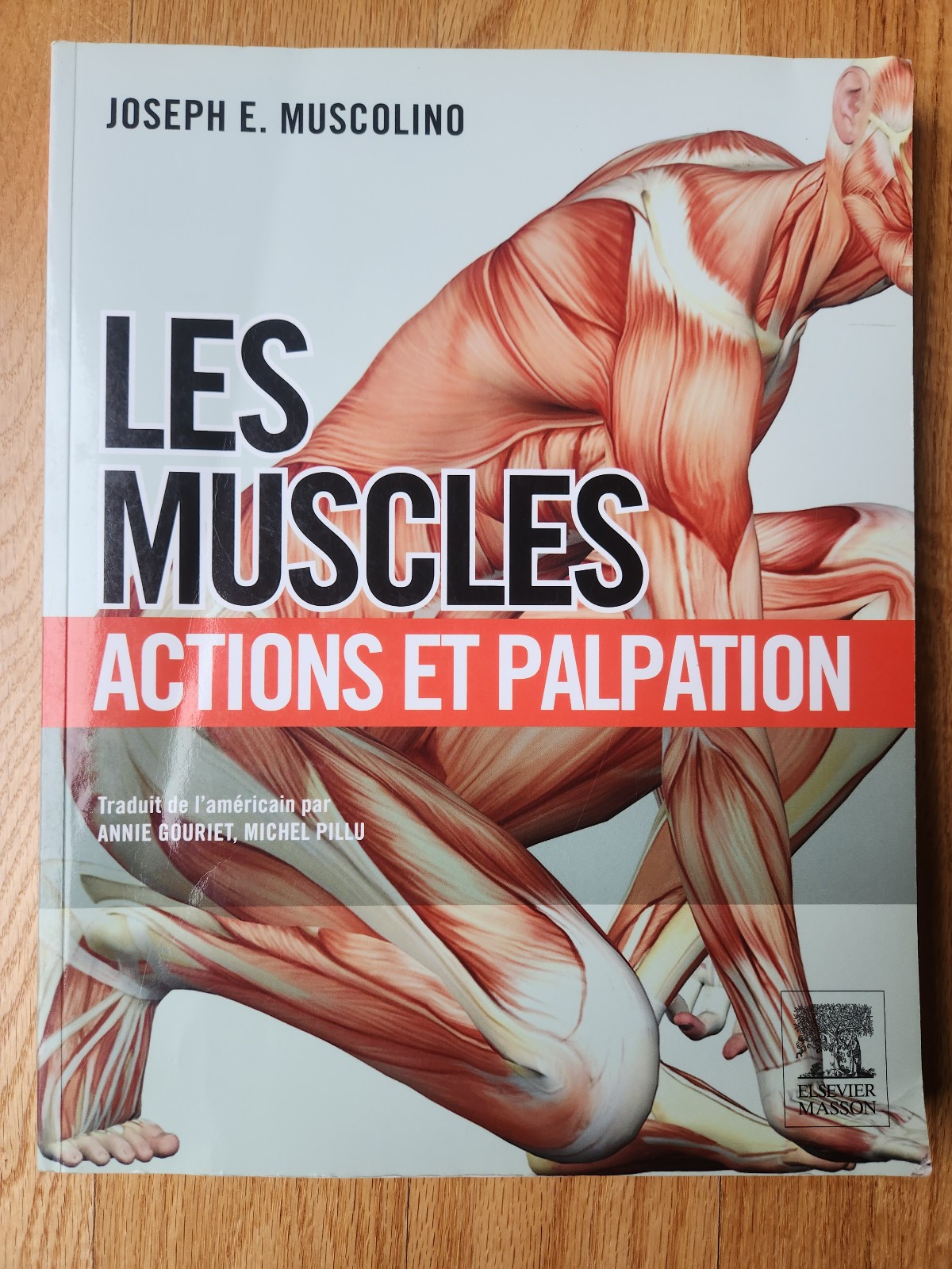 Know the Body: Muscle, Bone and Palpation Essentials – Joseph Muscolino FRENCH