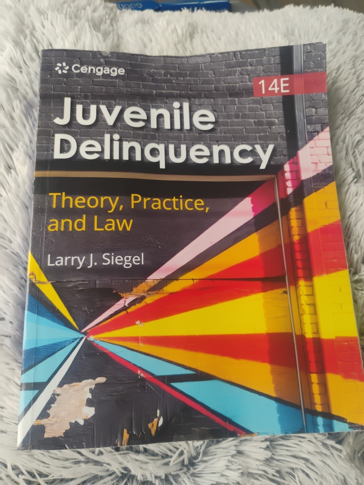 Juvenile Delinquency: Theory, Practice, and Law by Larry J. Siegel