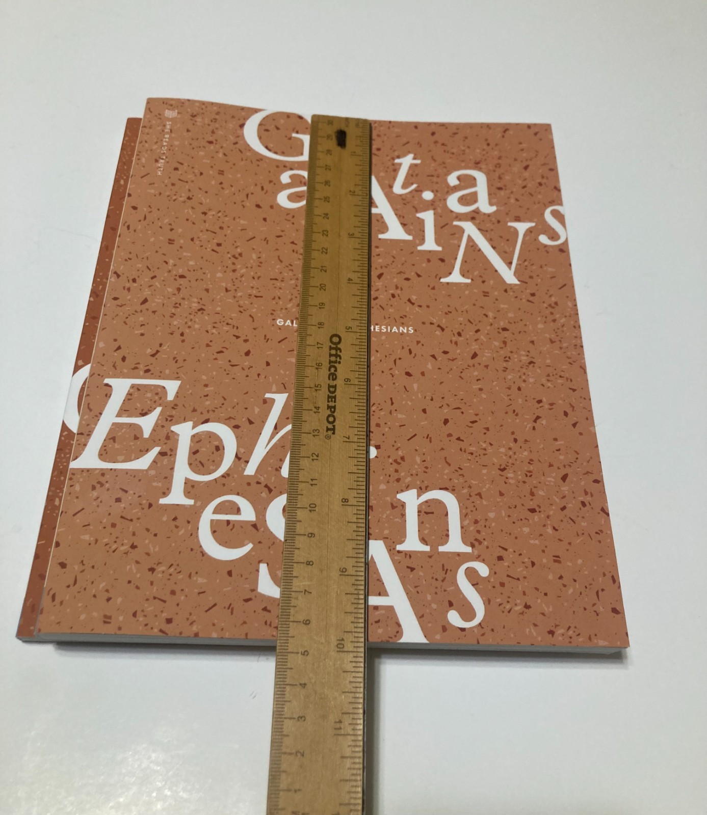 She Reads Truth Reading Plan- Philippians & Colossians and Galatians & Ephesians
