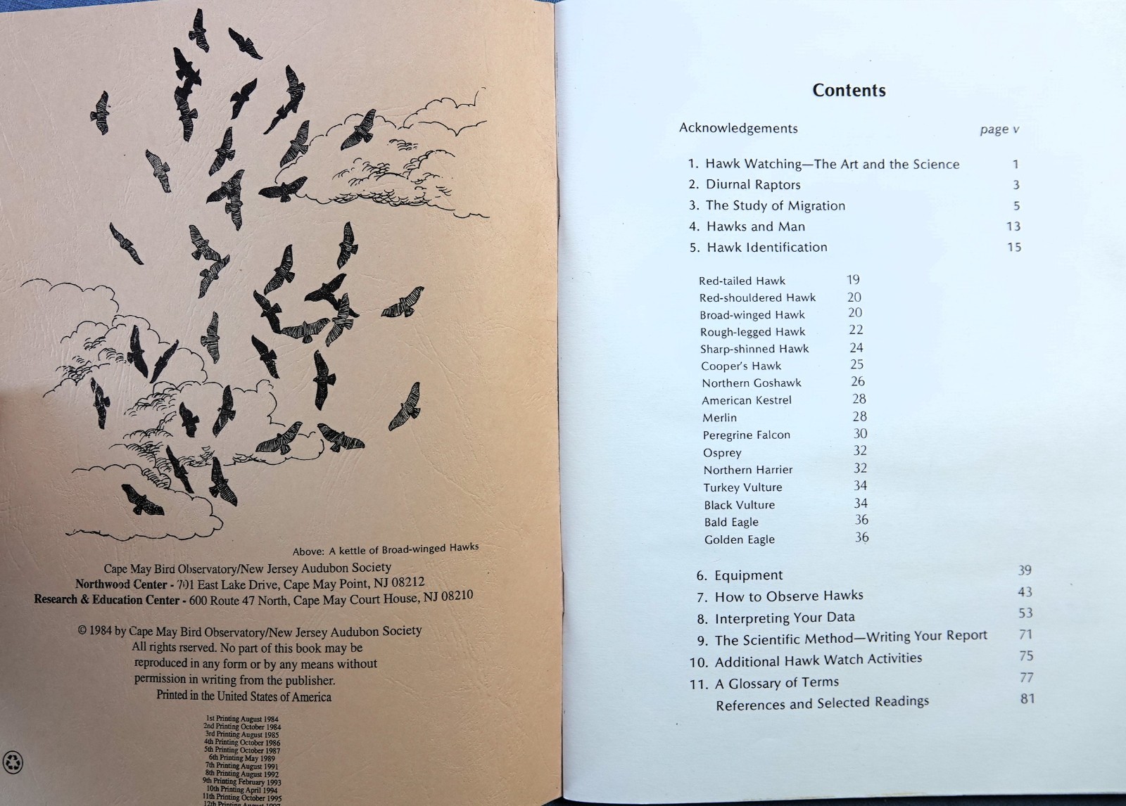 HAWK WATCH, GUIDE FOR BEGINNERS BY PETE DUNNE, KELLER, ETC. 1984 ILLUS: SIBLEY