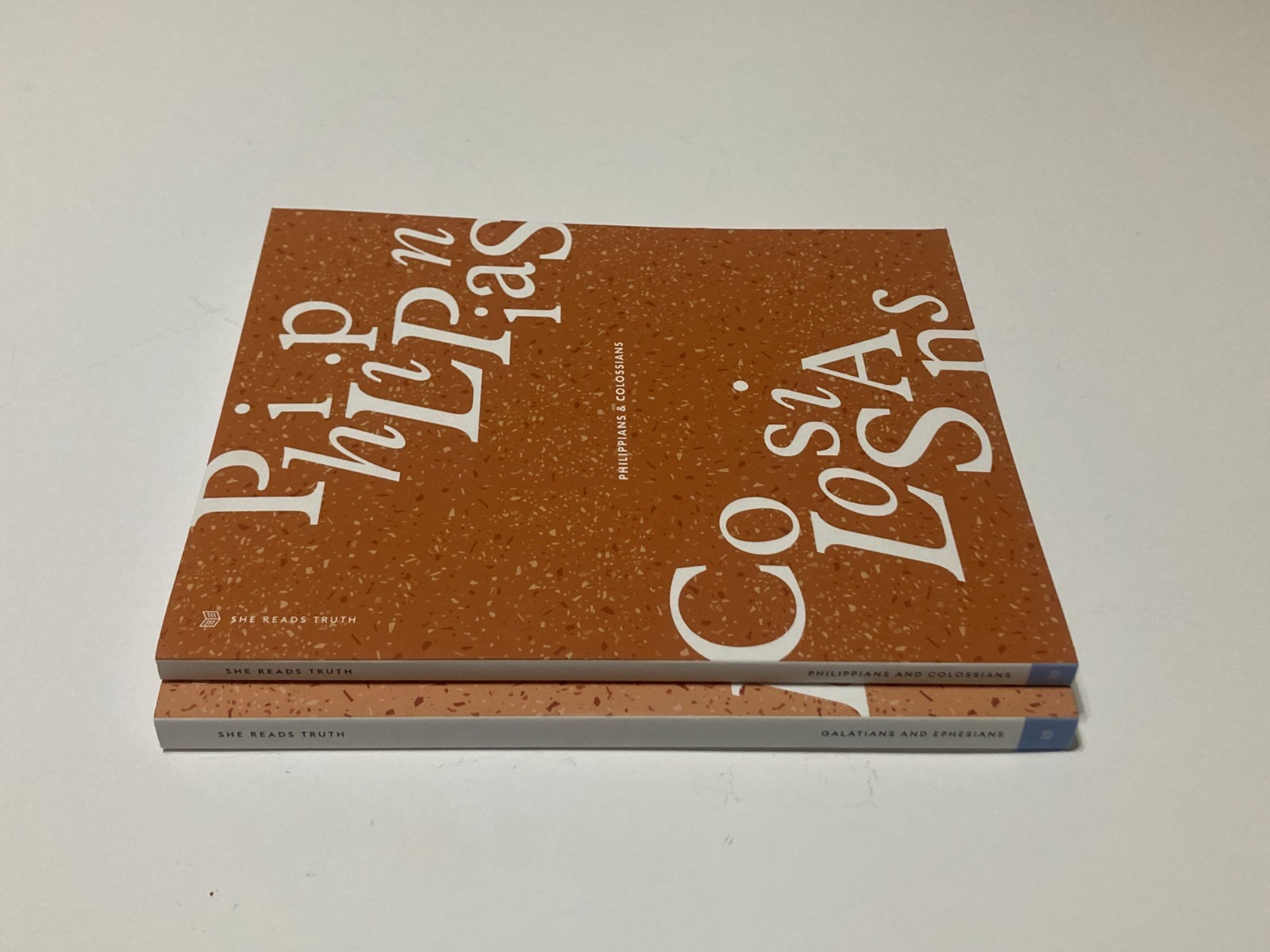 She Reads Truth Reading Plan- Philippians & Colossians and Galatians & Ephesians