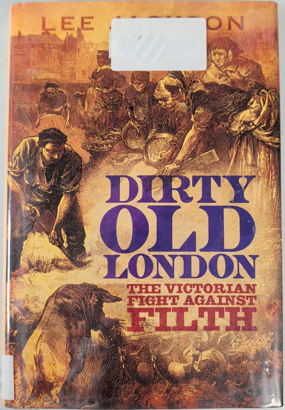 Dirty Old London The Victorian Fight Against Filth Hardcover Lee Jackson