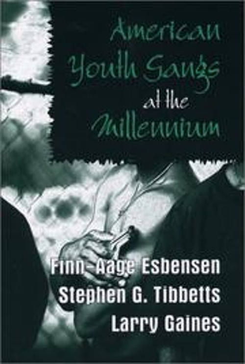 American Youth Gangs at the Millennium Paperback