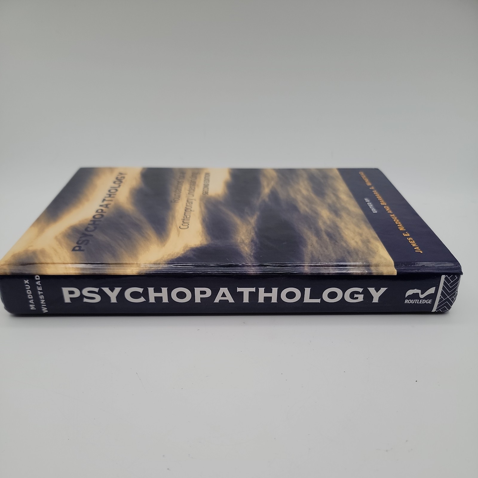 Psychopathology : Foundations for a Contemporary Understanding Second Edition