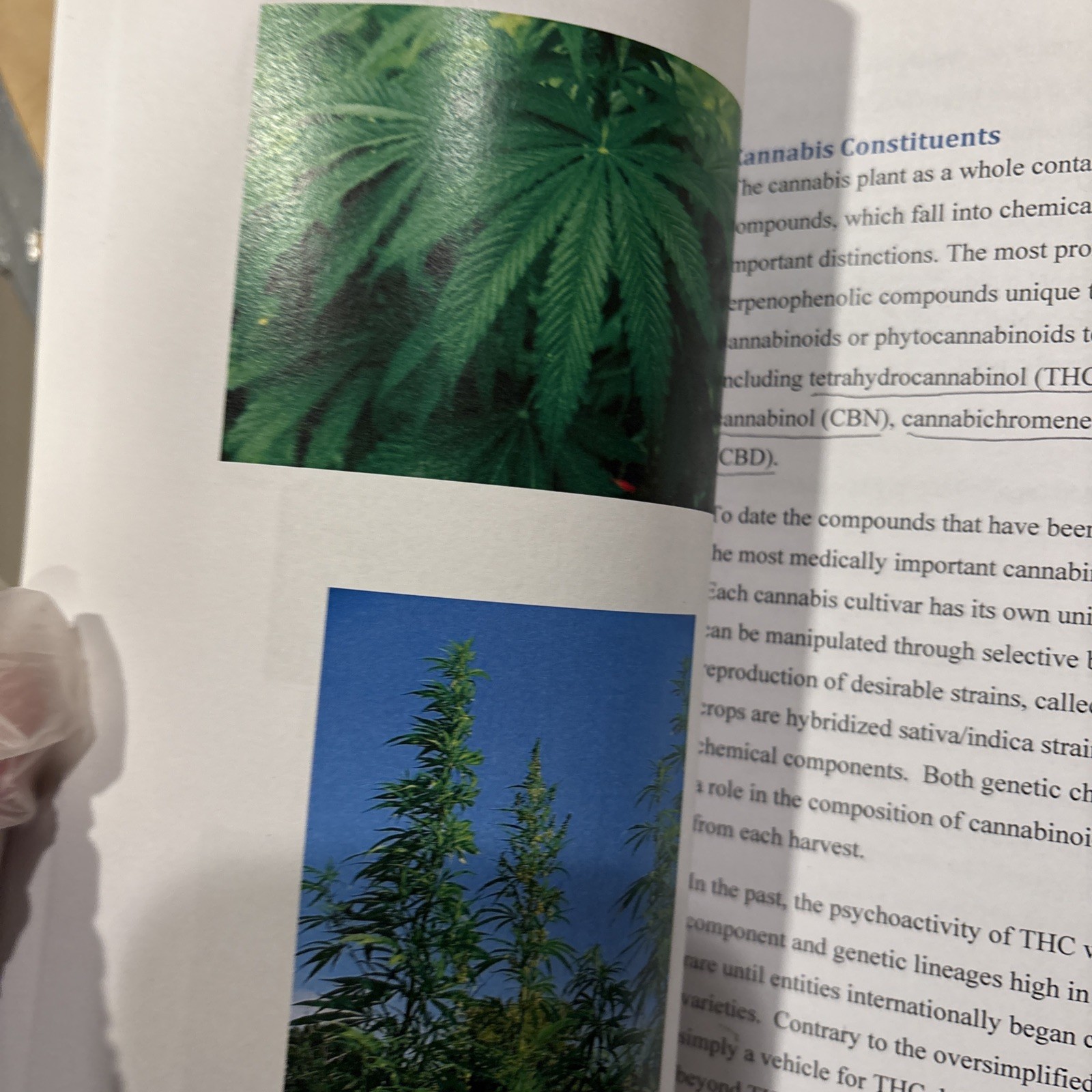 Chemistry, Medical Marijuana 4 Book Lot(.#195-4)