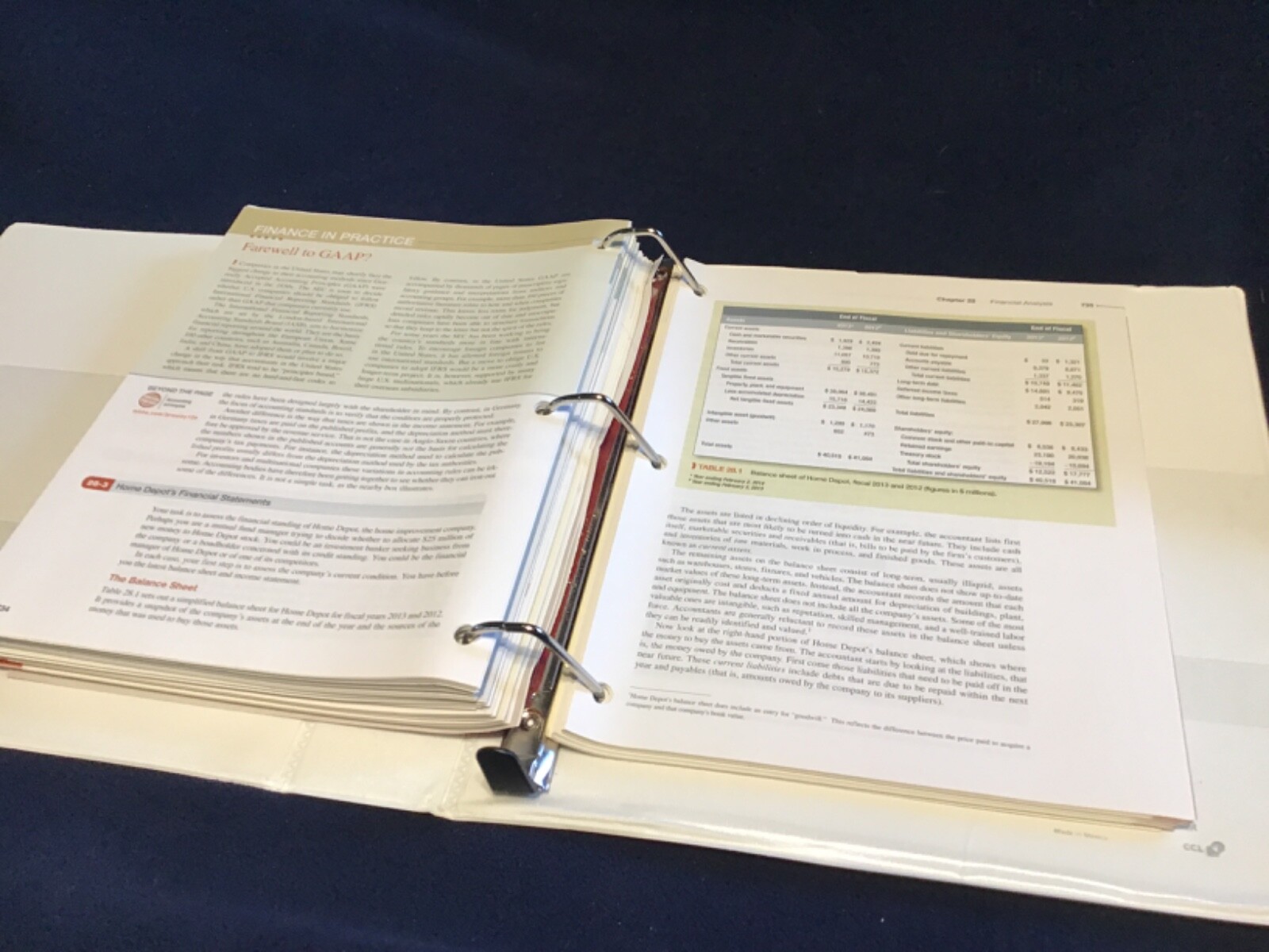Principles of Corporate Finance 12th Edition 3 ring Binder