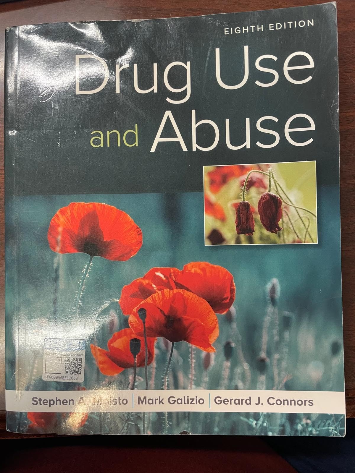 Drug Use and Abuse by Galizio