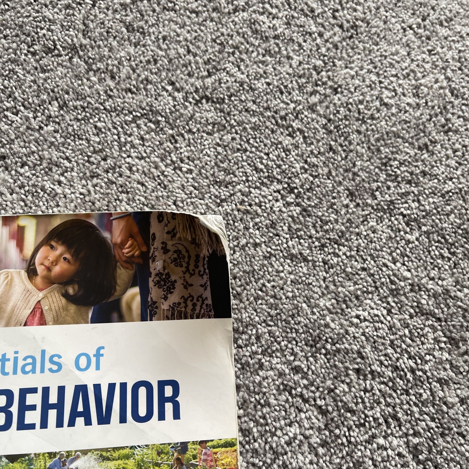 Essentials of Human Behavior : Integrating Person, Environment, and the Life…