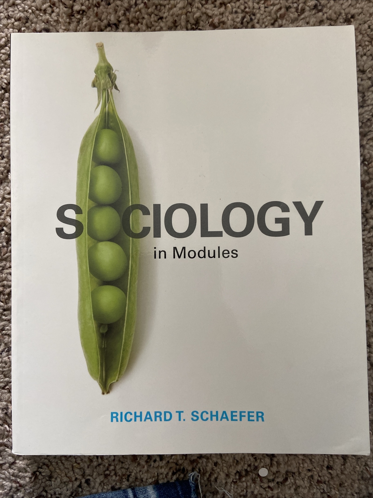 sociology in modules