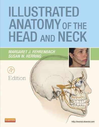 Illustrated Anatomy of the – Paperback, by Margaret J. Fehrenbach; – Very Good