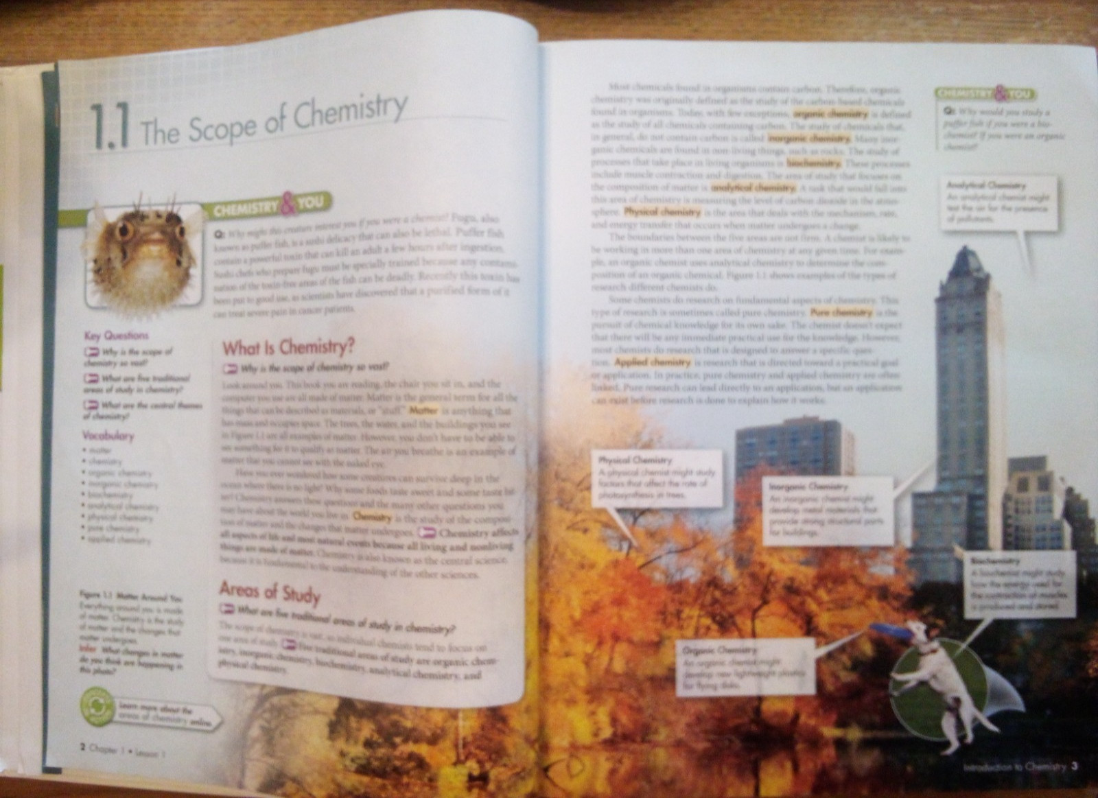 Pearson Chemistry 2012