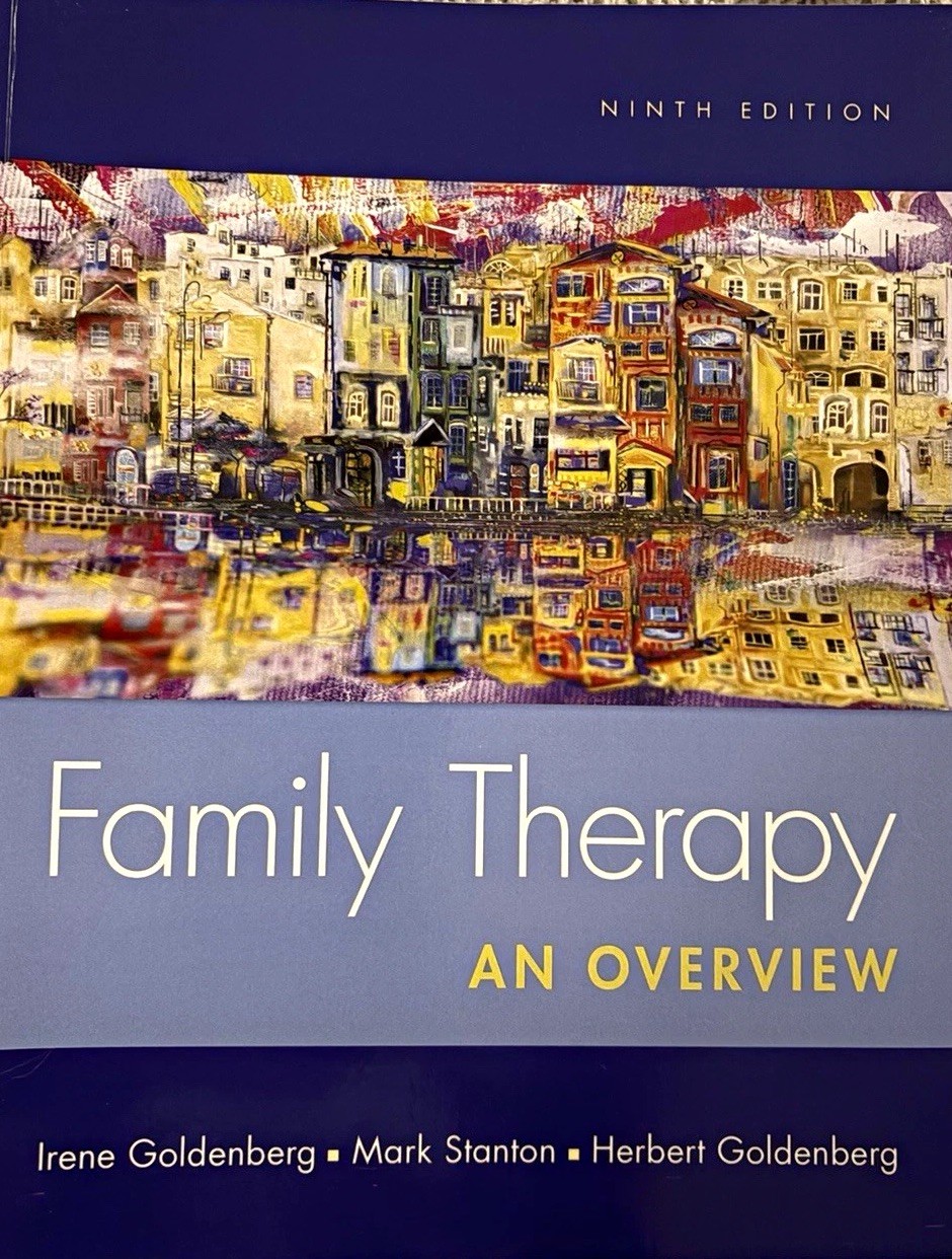 Family Therapy: An Overview 9th Edition Paperback by Goldenberg