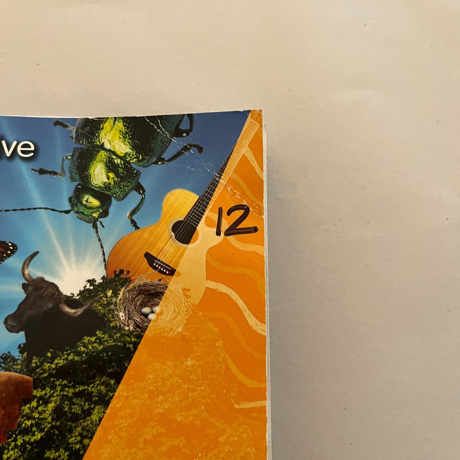 Grade 1 Fourth Unit, Florida My View Literacy Student Edition 1.4 Acceptable