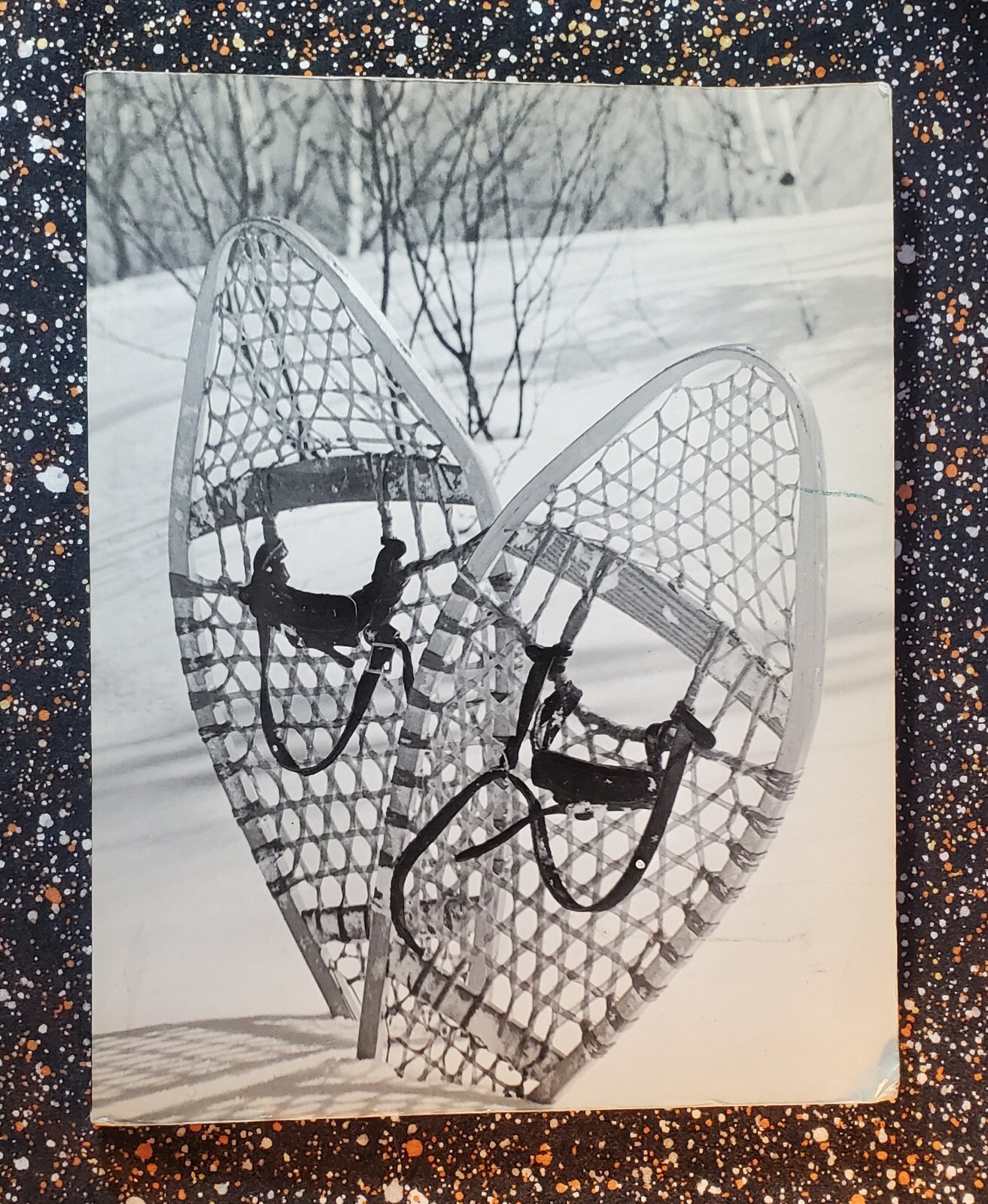 Footprints In The Snow, The Heroes and Heroines of Canada, Robert Livesey, 1978