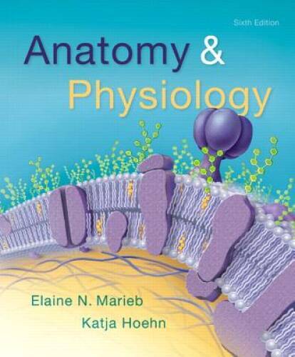 Anatomy & Physiology (6th Edition) – Hardcover By Marieb, Elaine N. – VERY GOOD