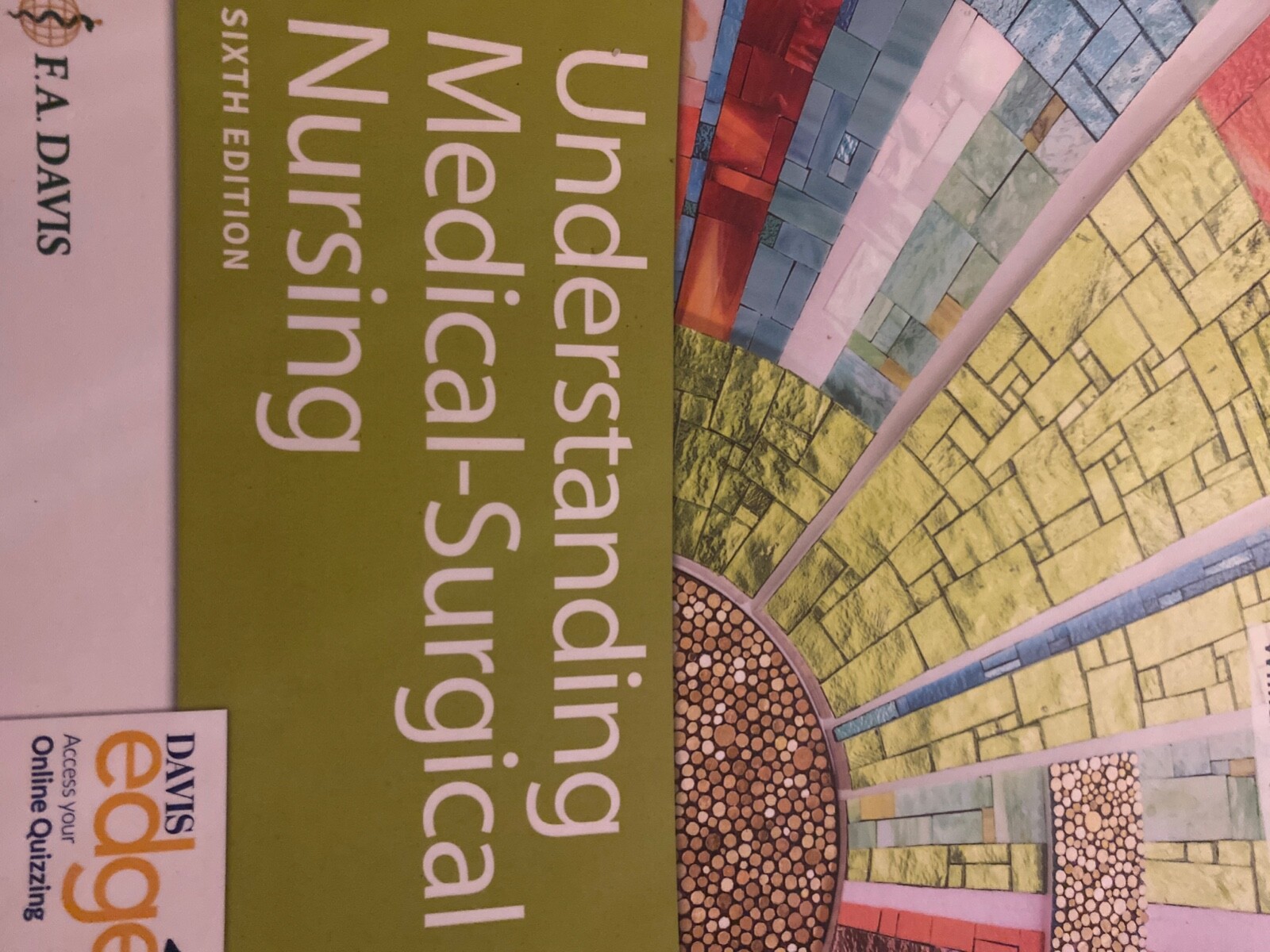 Understanding Medical-Surgical Nursing by Paula D. Hopper and Linda S. Williams