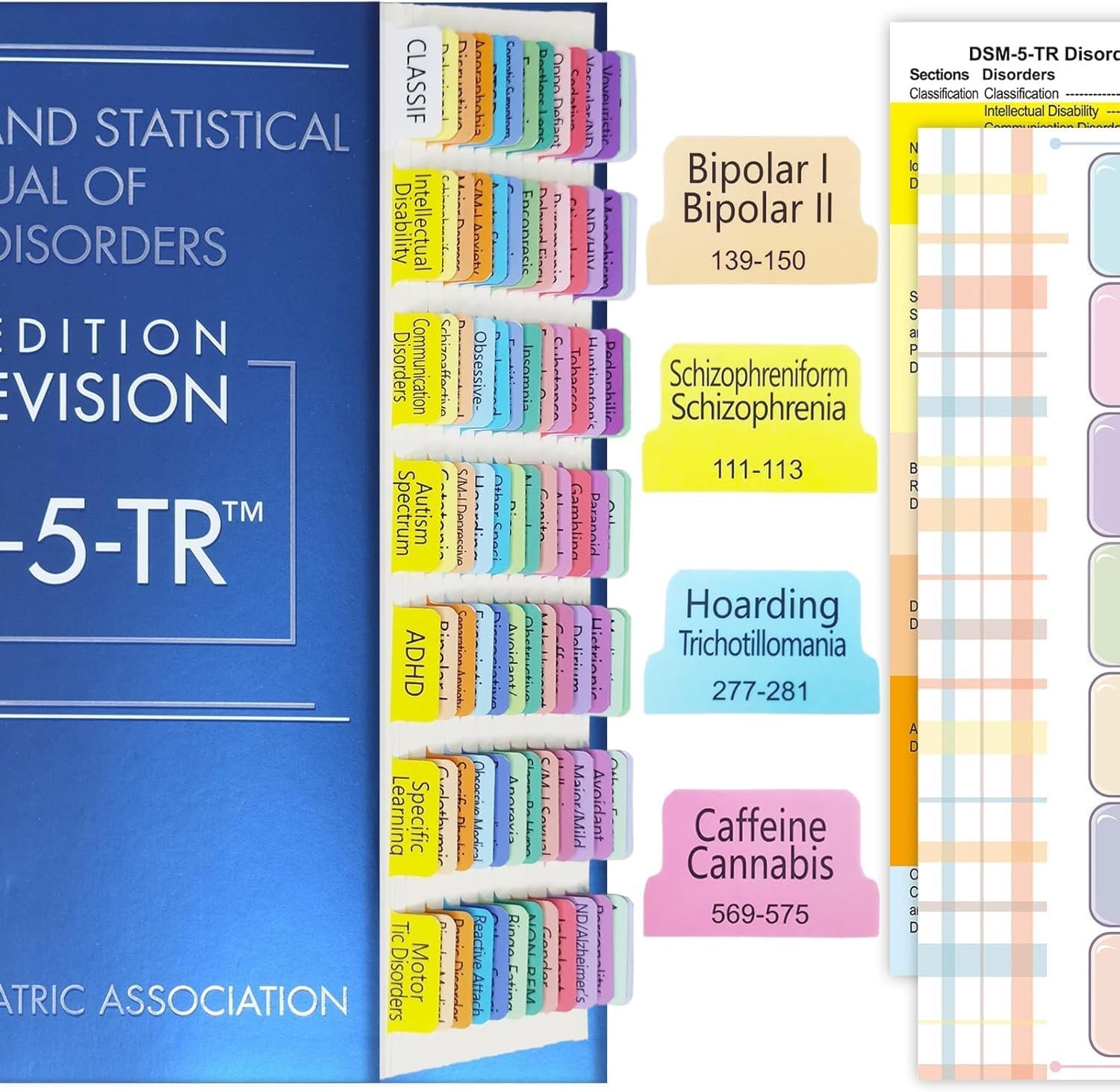 Index Tabs for DSM-5-TR 2022 100 Total 94 Printed with Alignment Guide