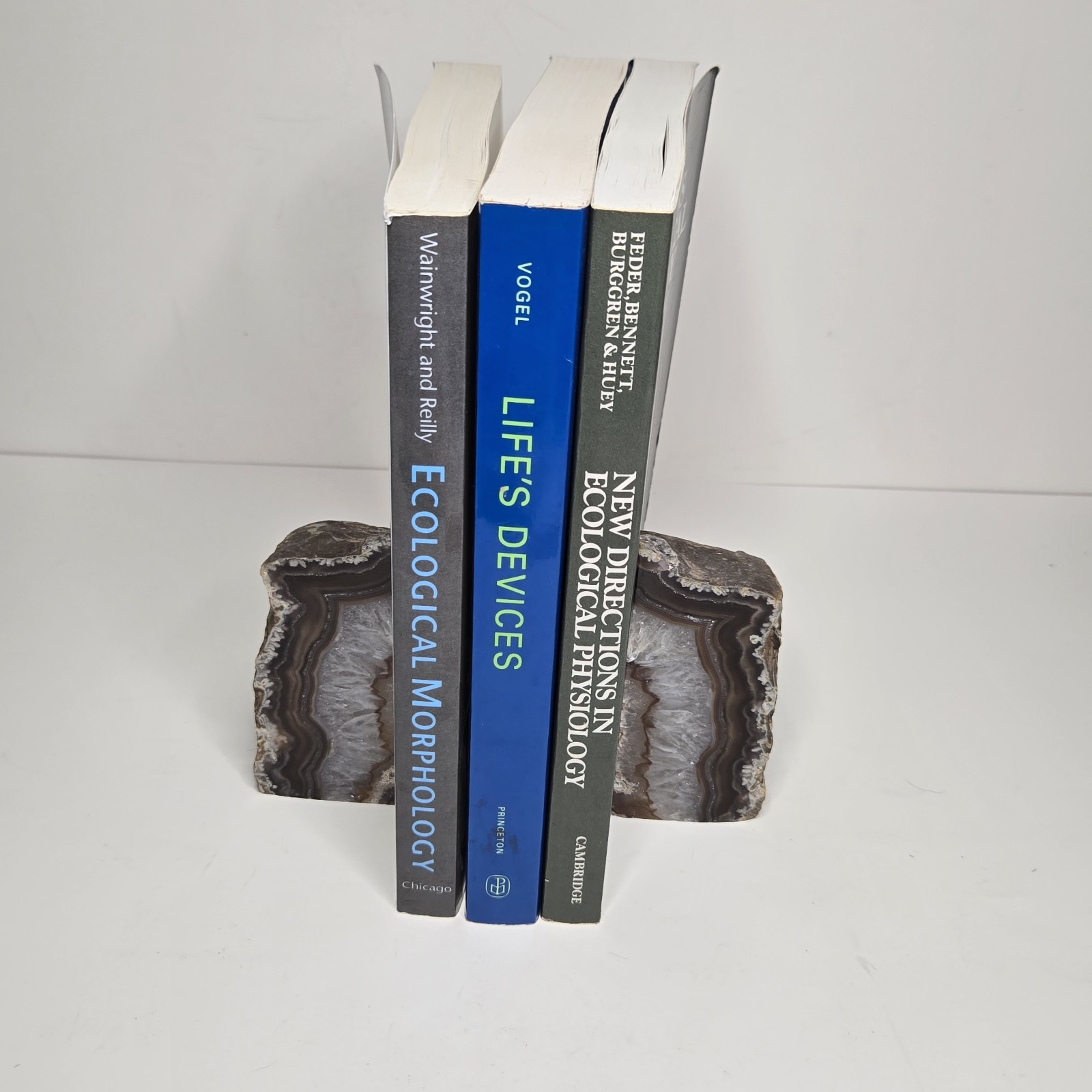 Lot Of 3 PB Ecological Physiology (1990) Life’s Devices (1988) Morphology (1994)