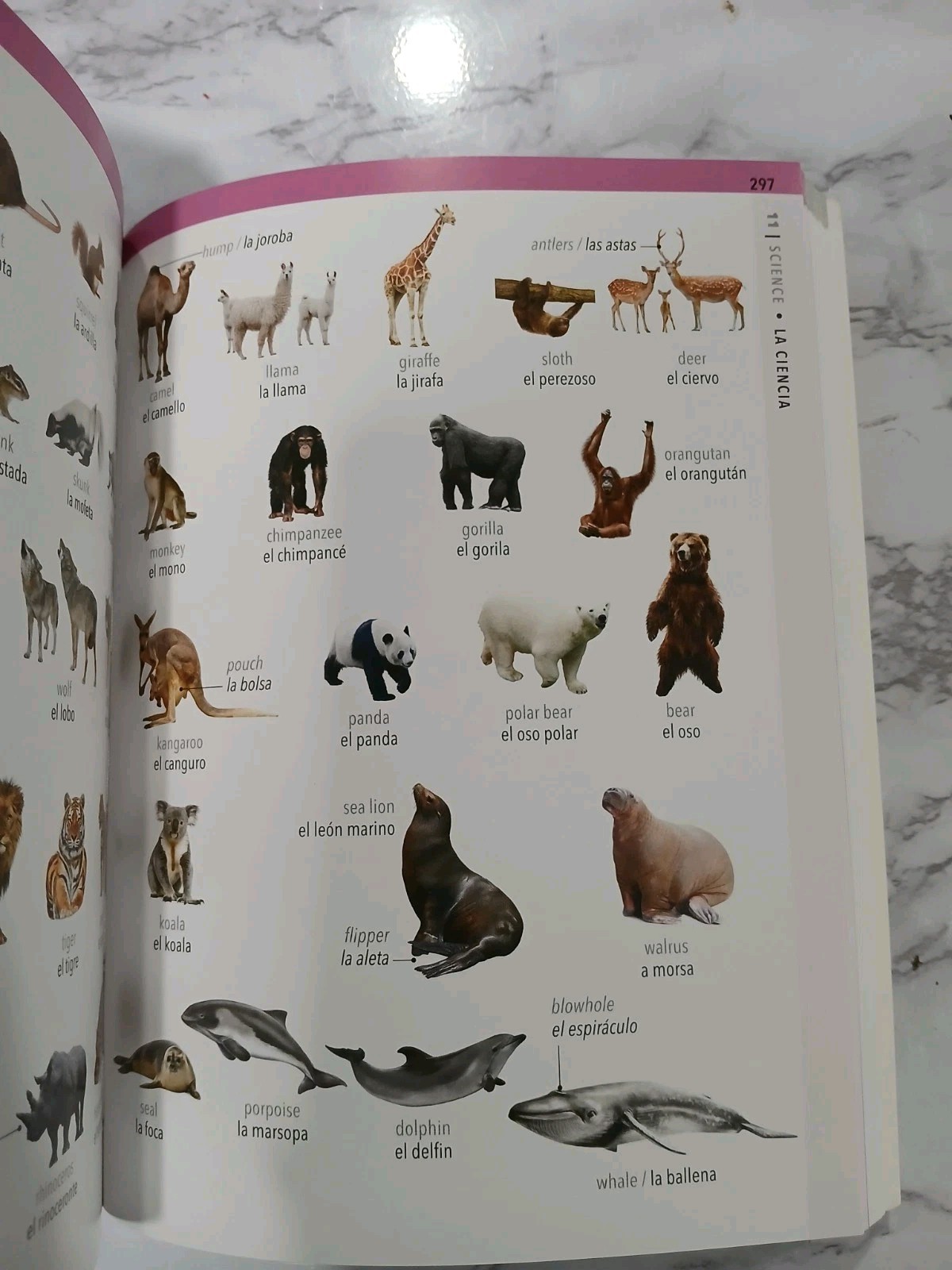 English • Spanish Visual Dictionary