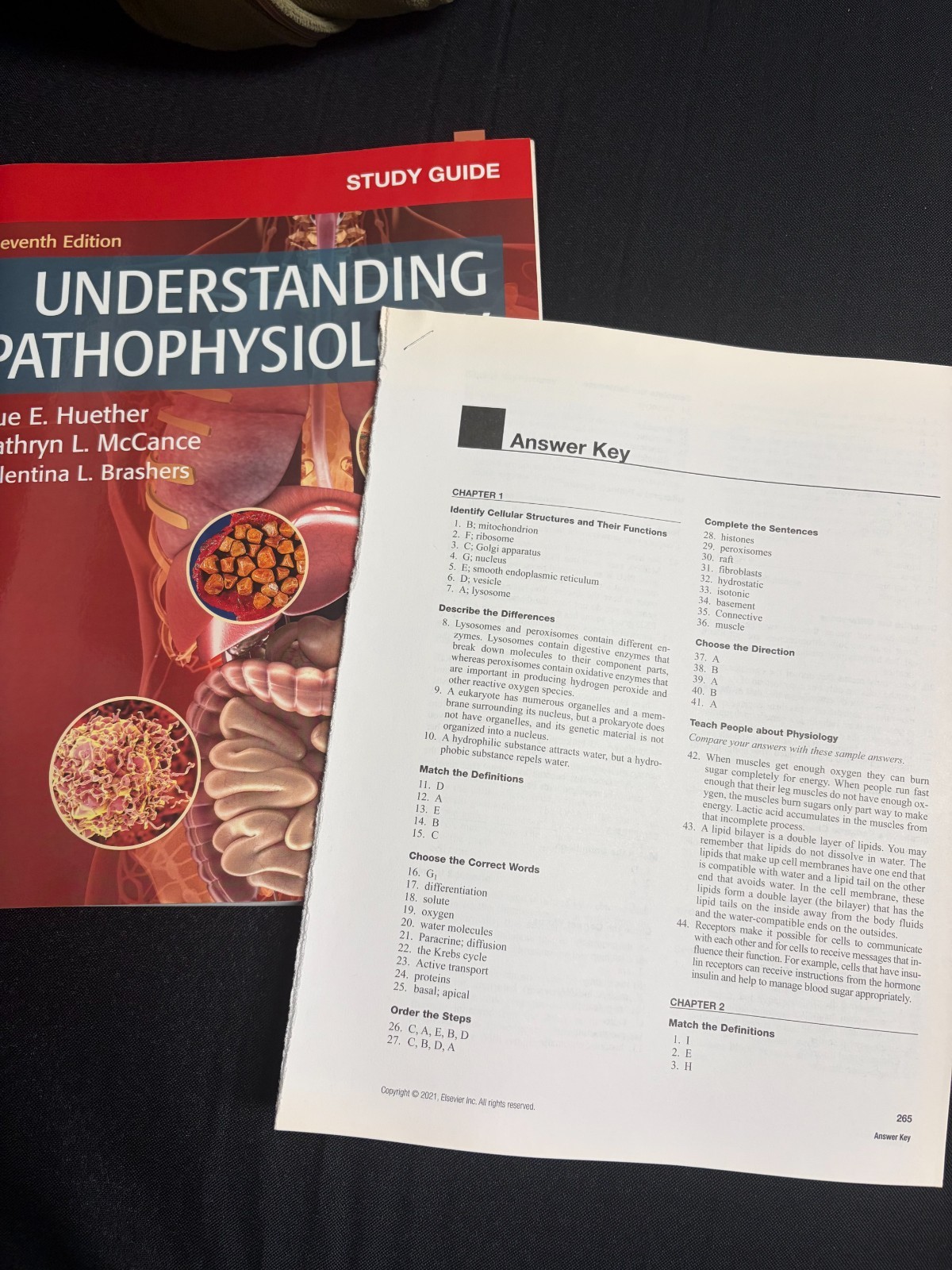 Study Guide for Understanding Pathophysiology by Kathryn L. McCance and Sue E. …