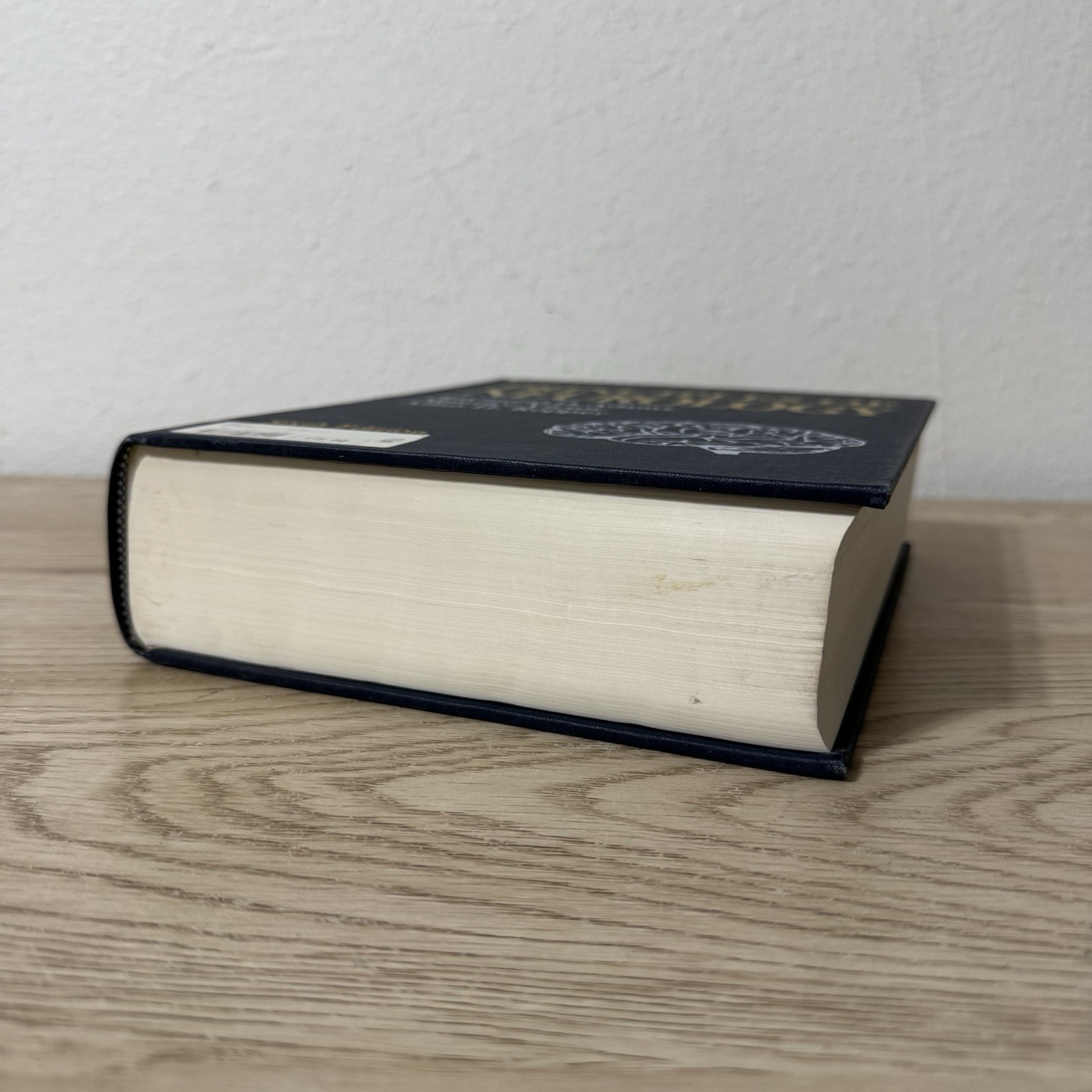 Principles of Neurology by Raymond D Adams Maurice Victor Allan H Ropper 6th Ed.