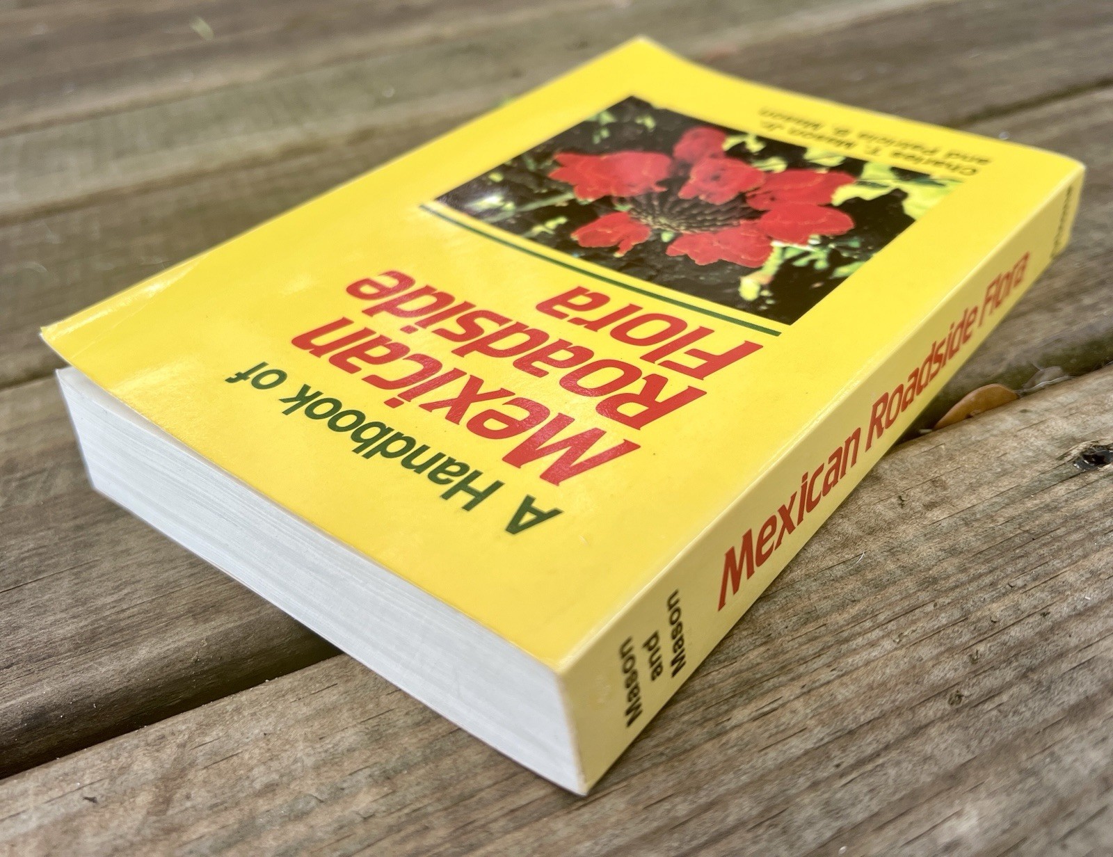 A Handbook of Mexican Roadside Flora 1987 Mason & Mason PB Identification Guide