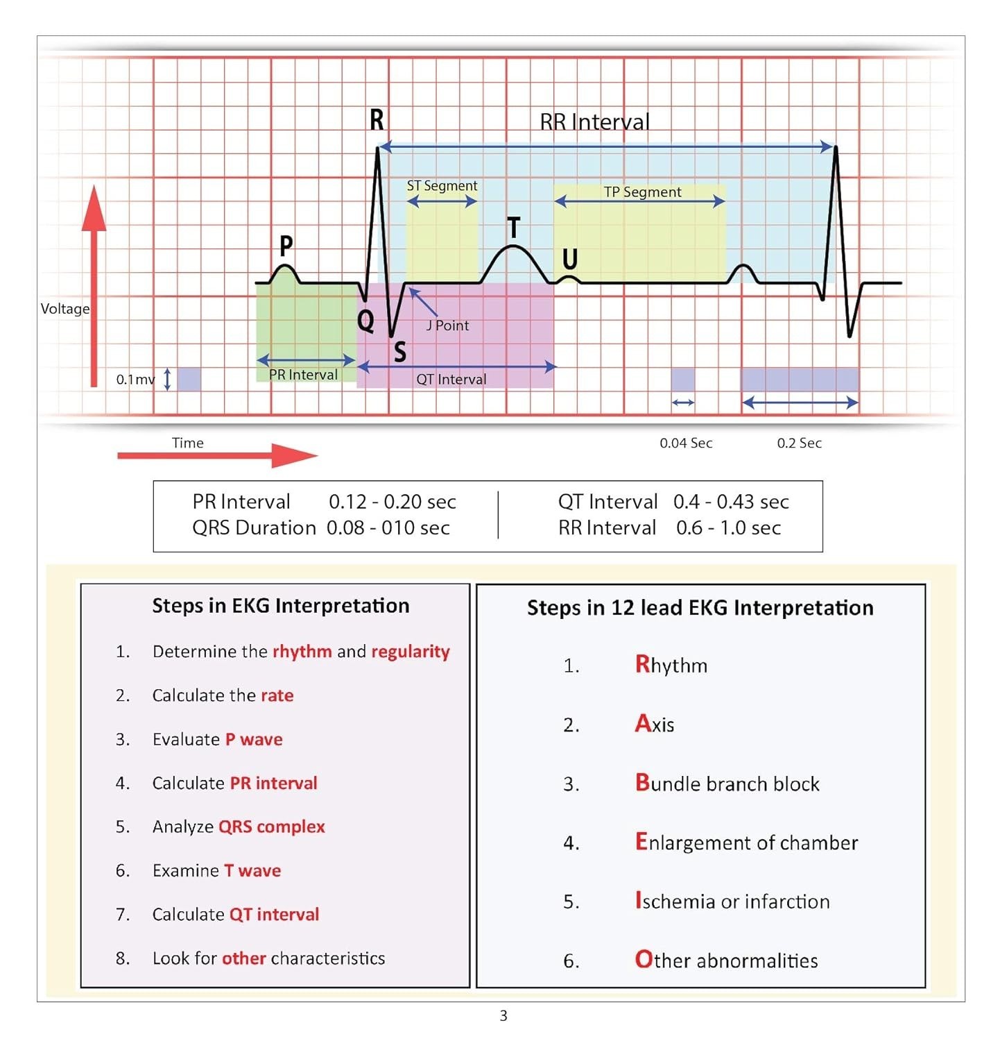 12 Lead EKG Pocket Card