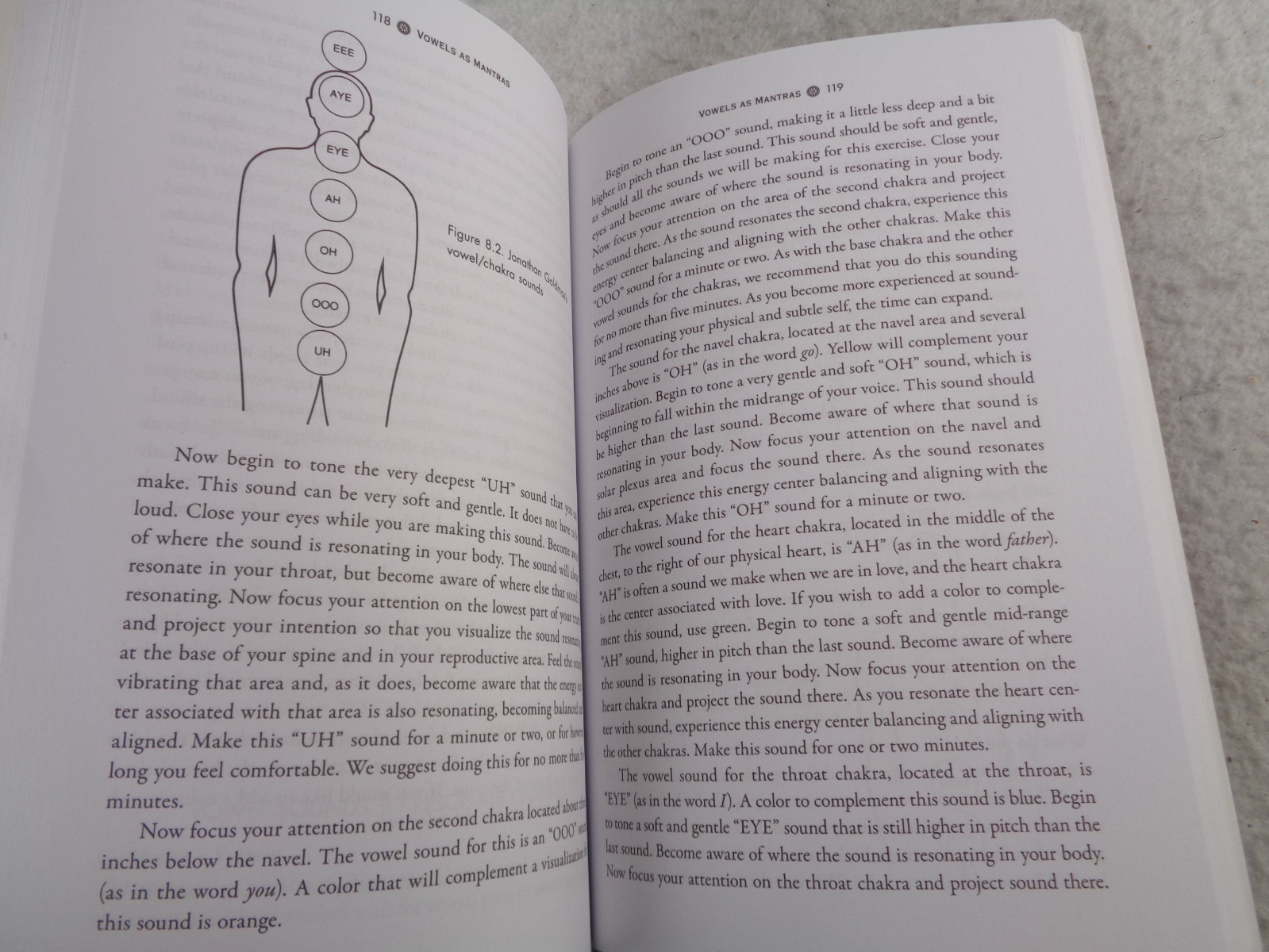Healing Sounds The Power of Harmonics Jonathan Goldman 2022 PB Book