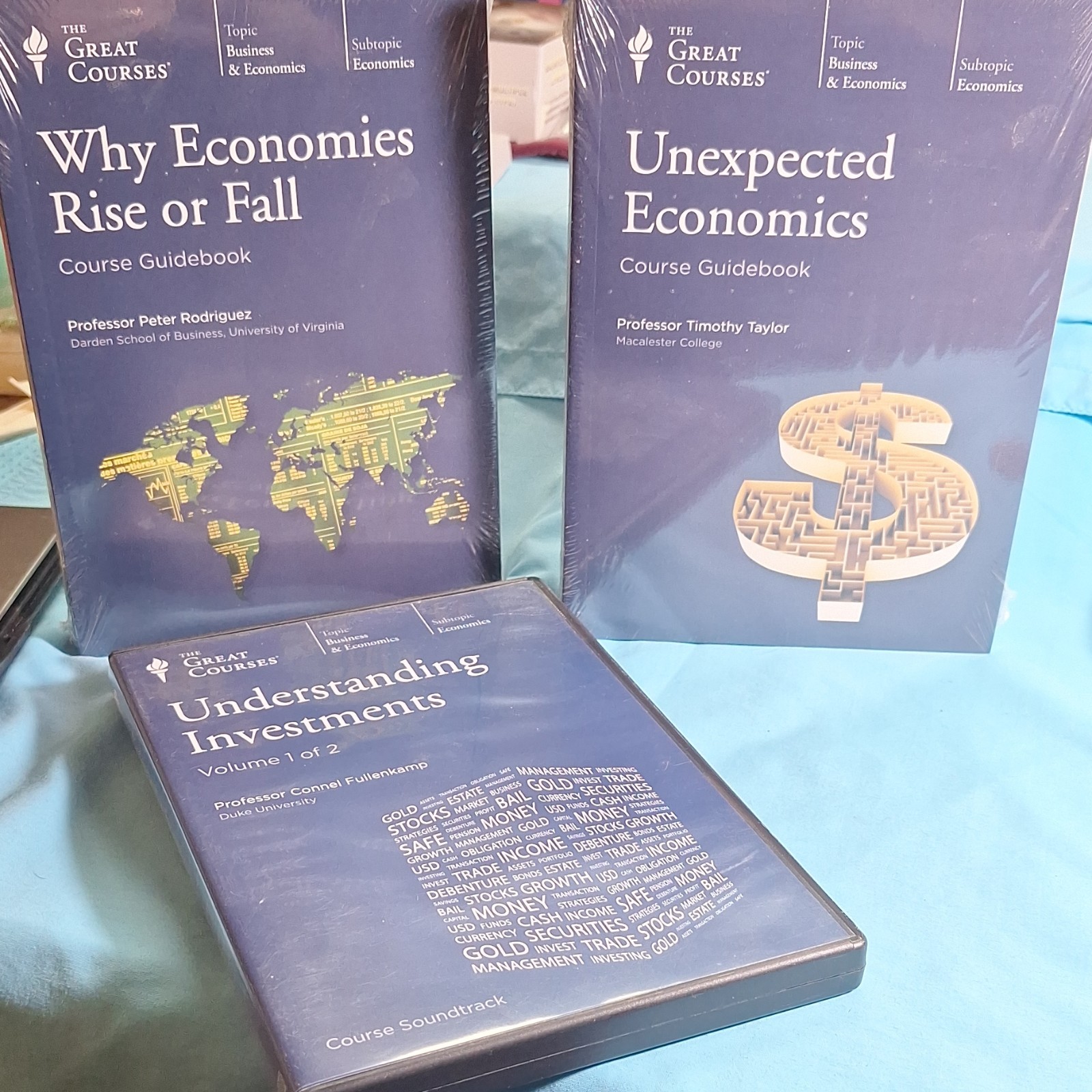 The Great Courses Economics: Why Economies Rise or Fall Guidebook
