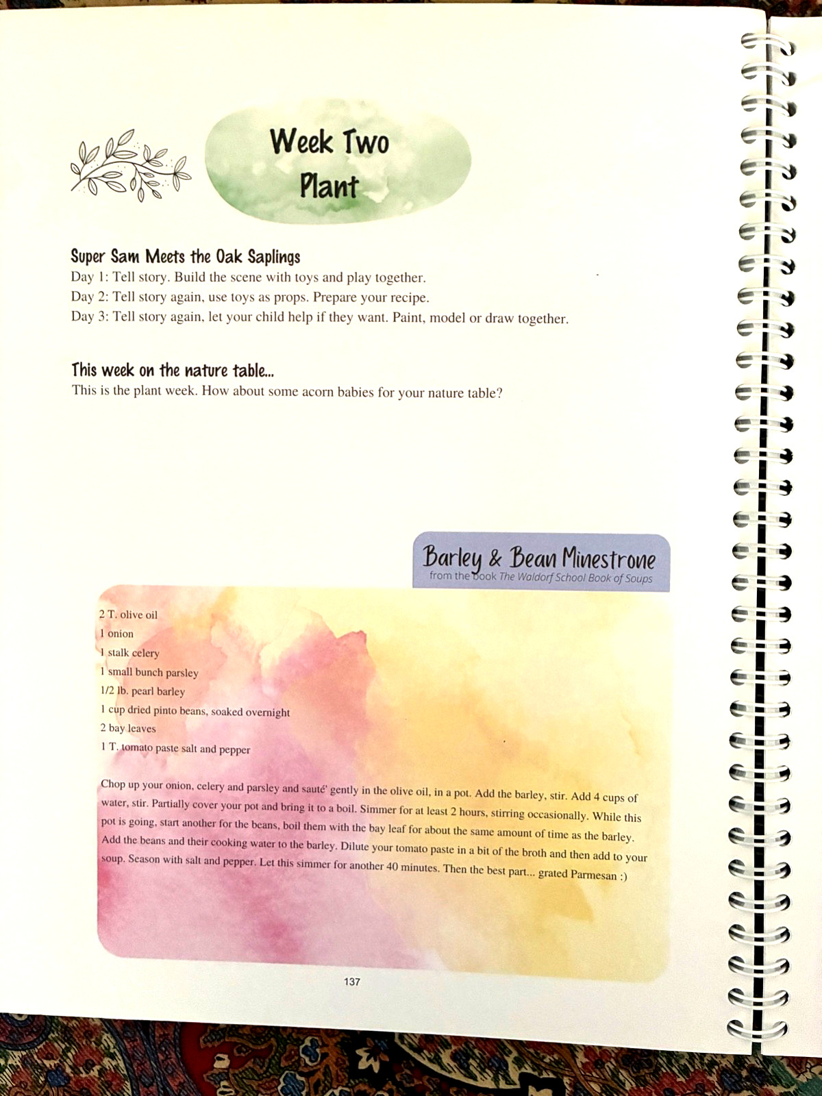 Waldorf Essentials Kindergarten Year One by Melisa Nielsen 2021 Spiral Paperback
