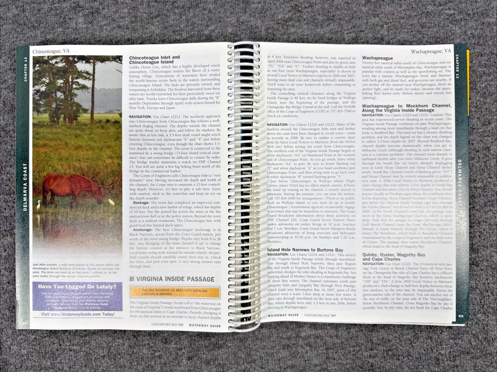 Waterway Guide Chesapeake Bay & Delaware Bay 2009 (Cape May NJ – Norfolk VA)