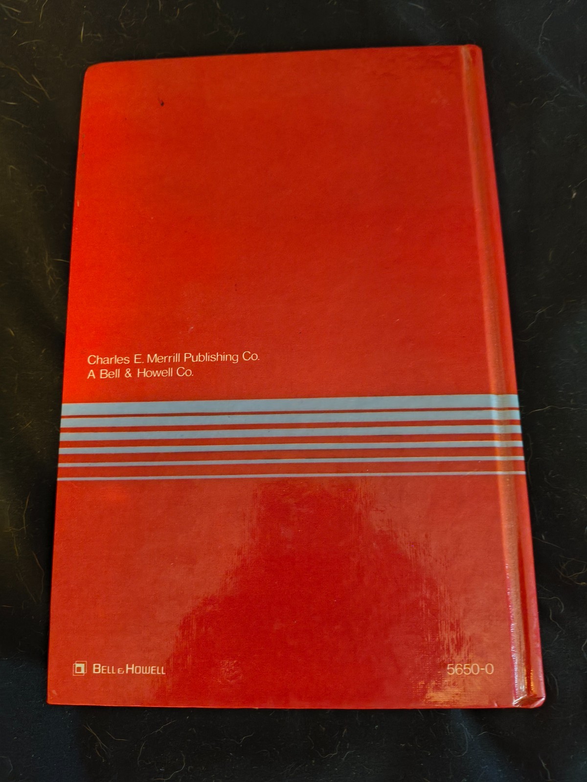 Programming in Basic by Jerry Cummins, Gene Kuechmann (Hardcover)