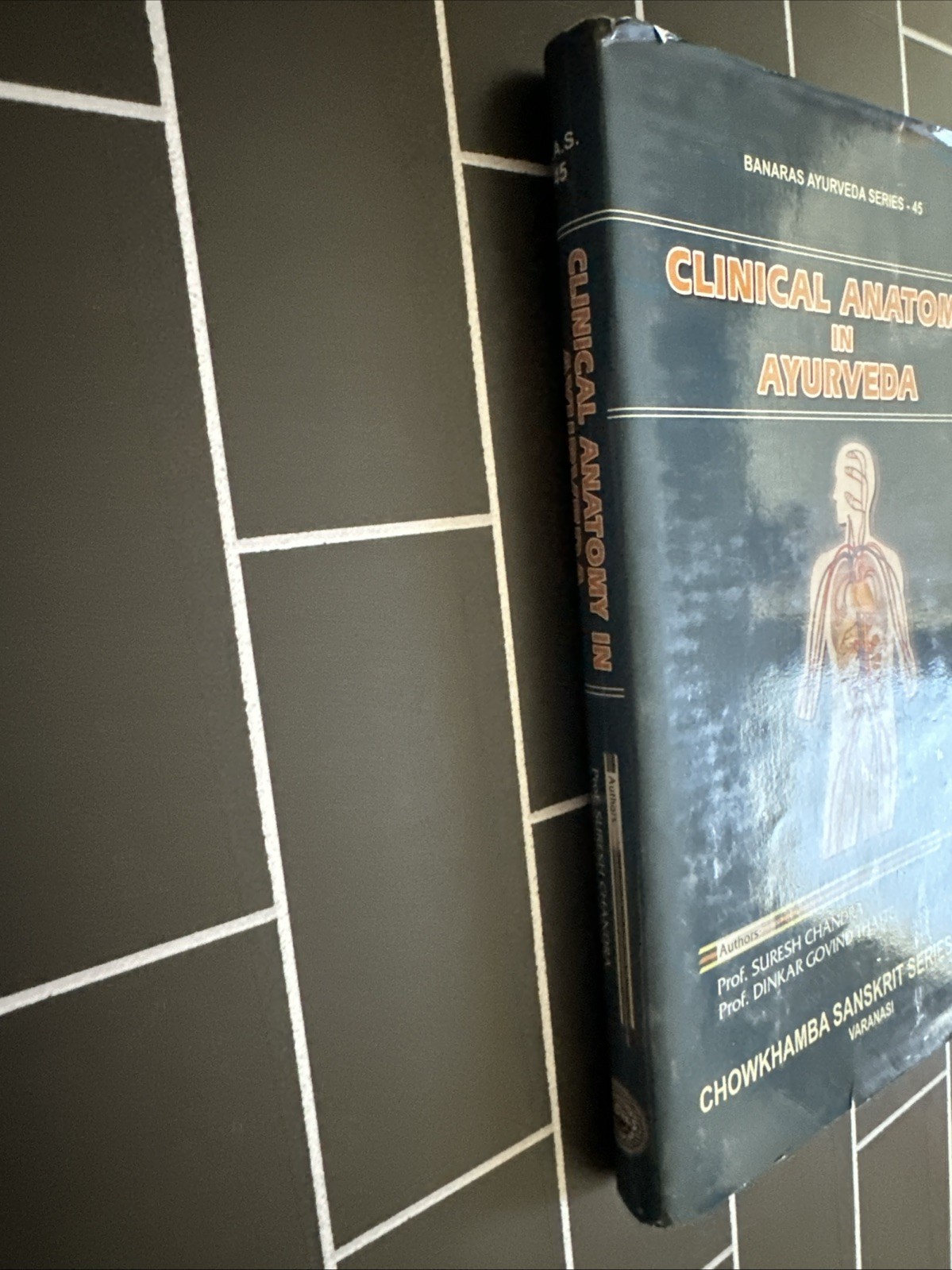 Clinical Anatomy in Ayurveda Hardcover Chowkhamba Sanskrit Series Suresh Chandra