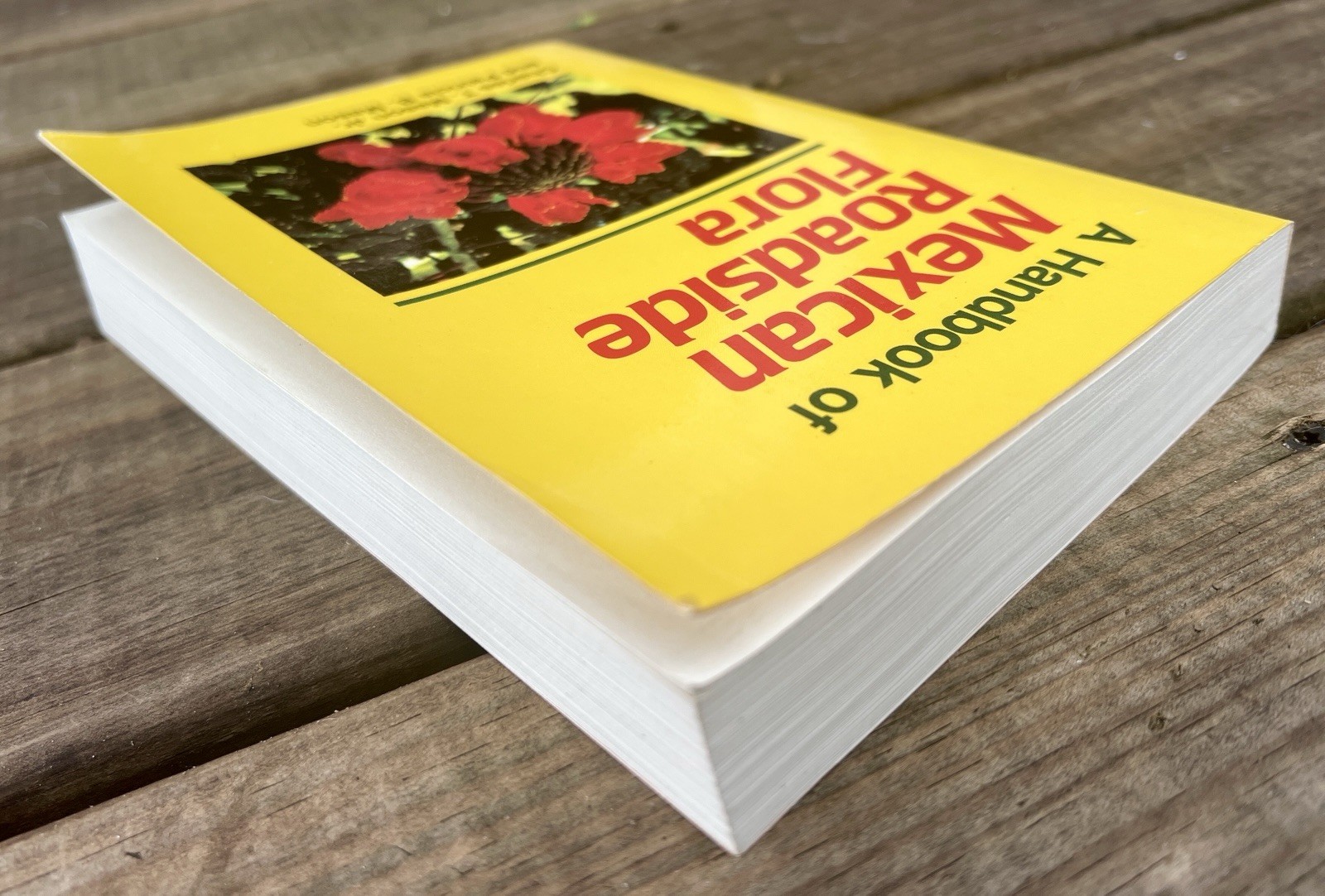 A Handbook of Mexican Roadside Flora 1987 Mason & Mason PB Identification Guide