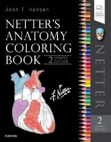 Netter’s Anatomy Coloring Book Updated Edition, 2e (Netter Ba – VERY GOOD