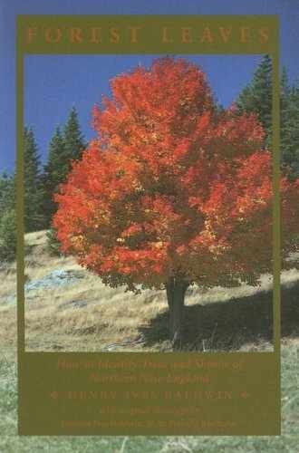Forest Leaves: How to Identify – Paperback, by Baldwin Henry Ives – Very Good
