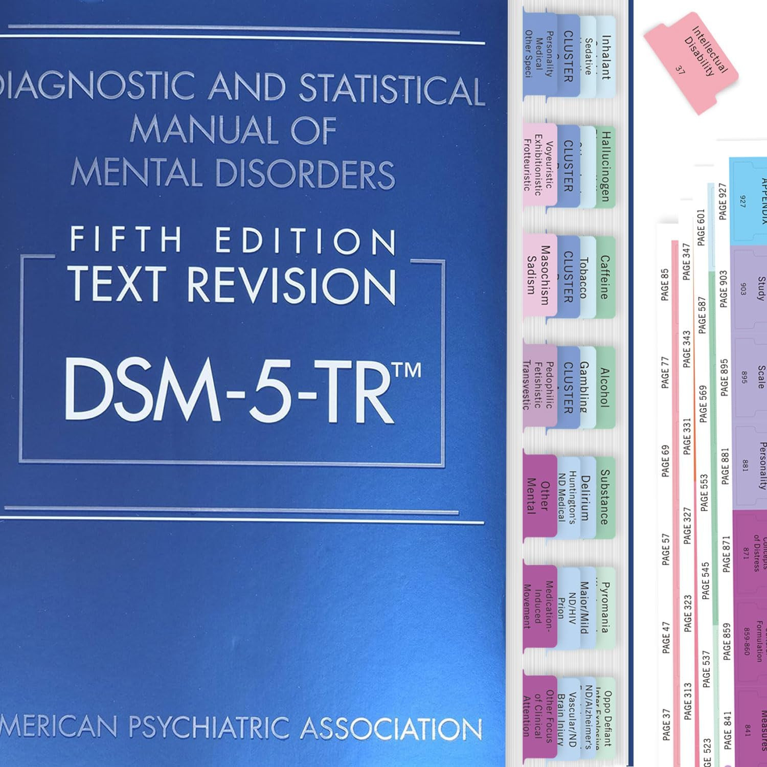 Upgraded DSM-5-TR 2022 Index Tabs – 94 Printed DSM-V-TR Tabs, 100