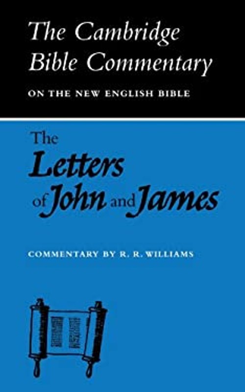 Letters of John and James Paperback Raymond Brady Williams