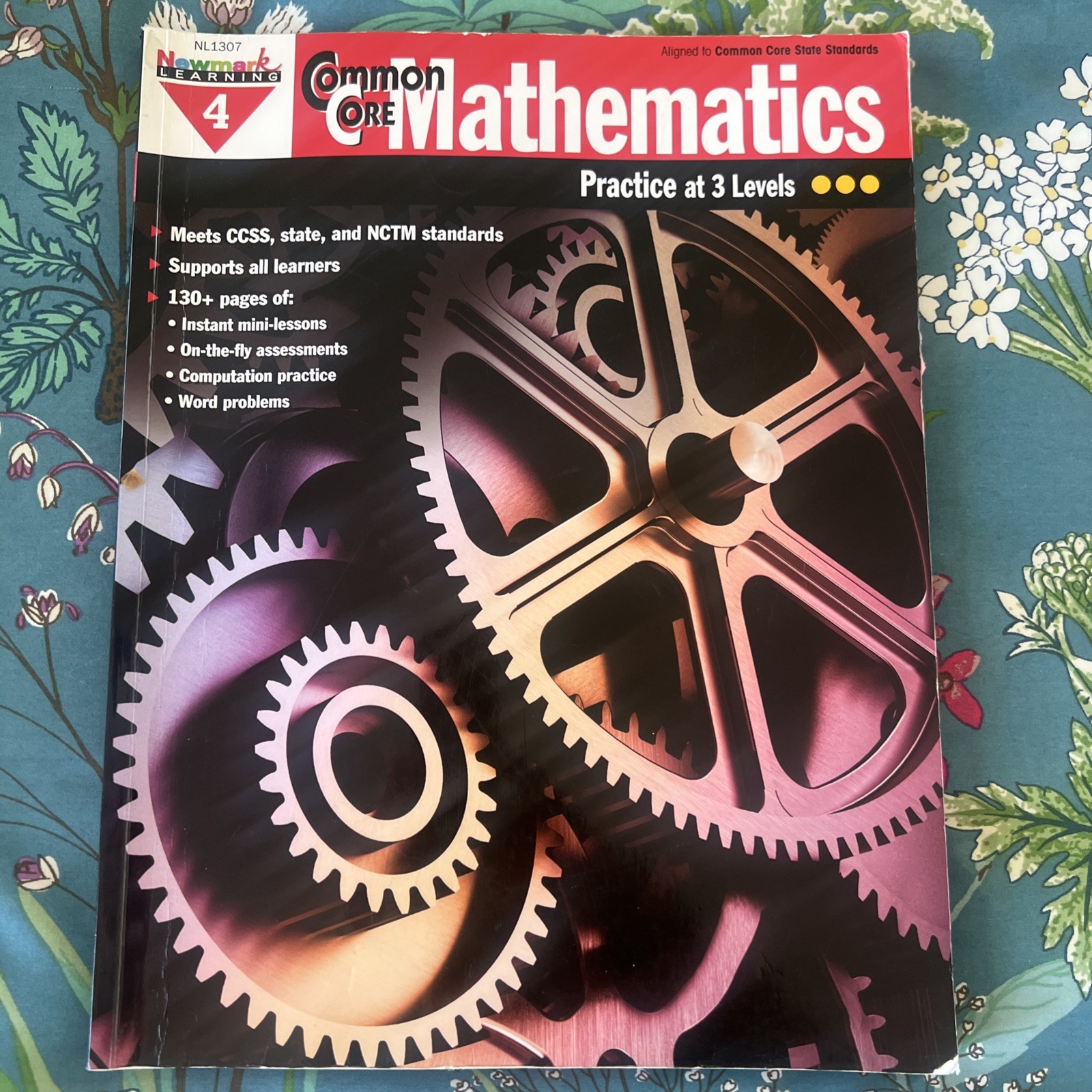 Newmark Learning Grade 4 Common Core Mathematics Aid