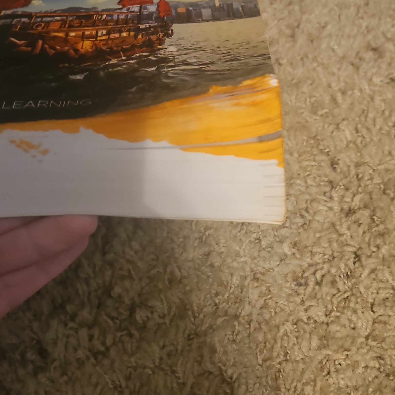 AMSCO AP World History: Modern 1200-Present 2019 TPB McCannon Illustrated