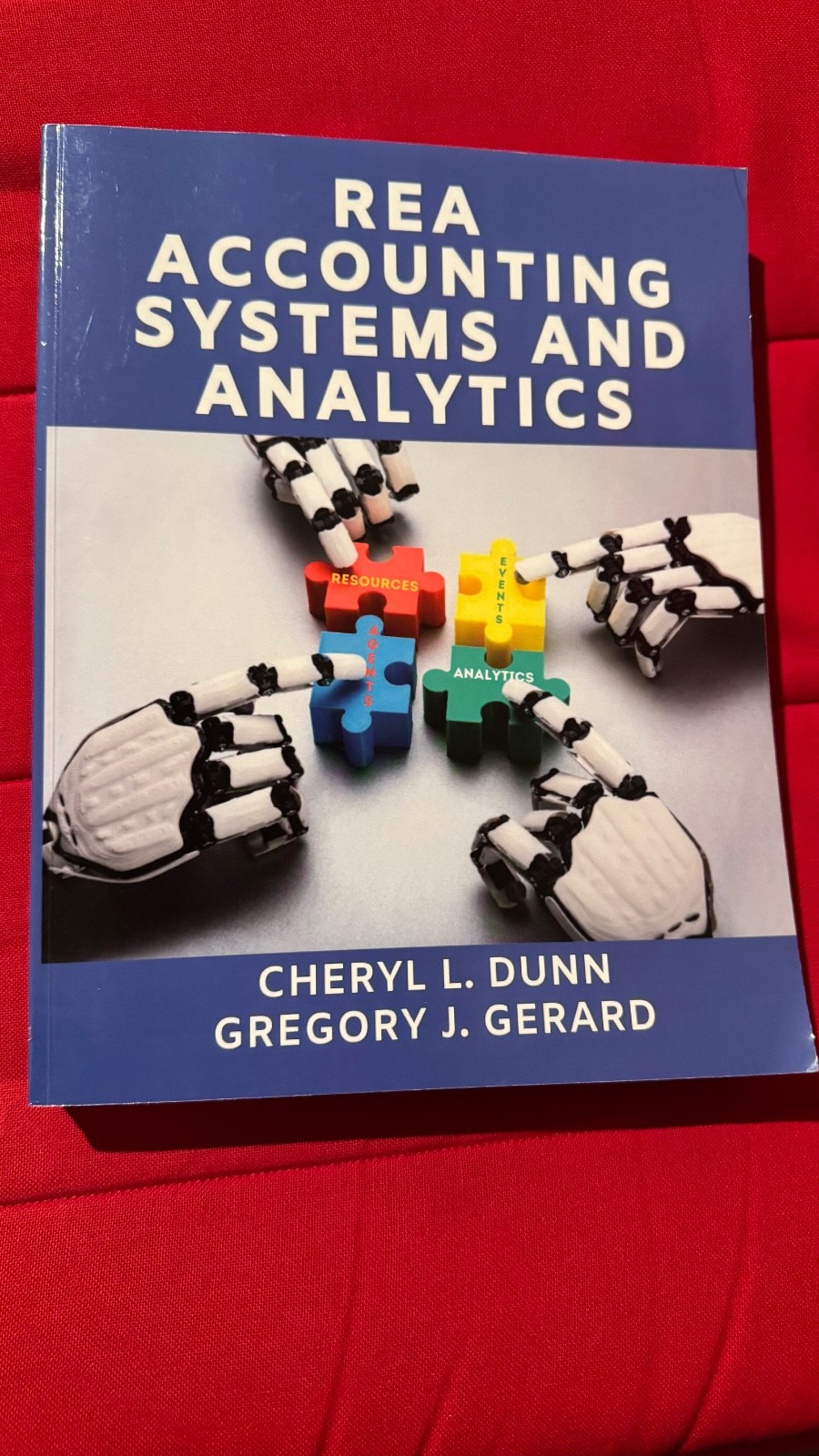 REA Accounting Systems and Analytics textbook for Accounting and Data Analytics